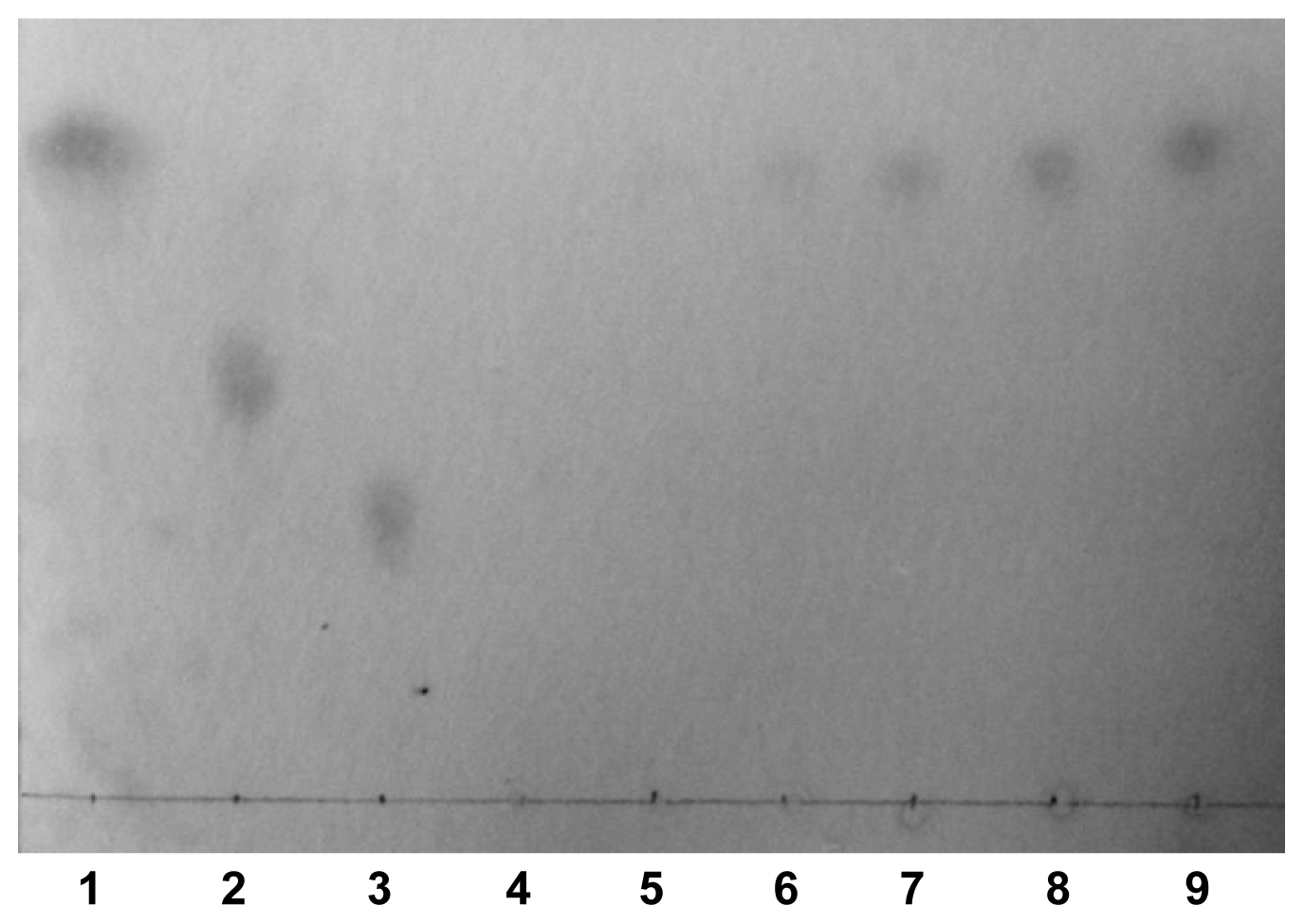 Ijms 15 05717f5 1024