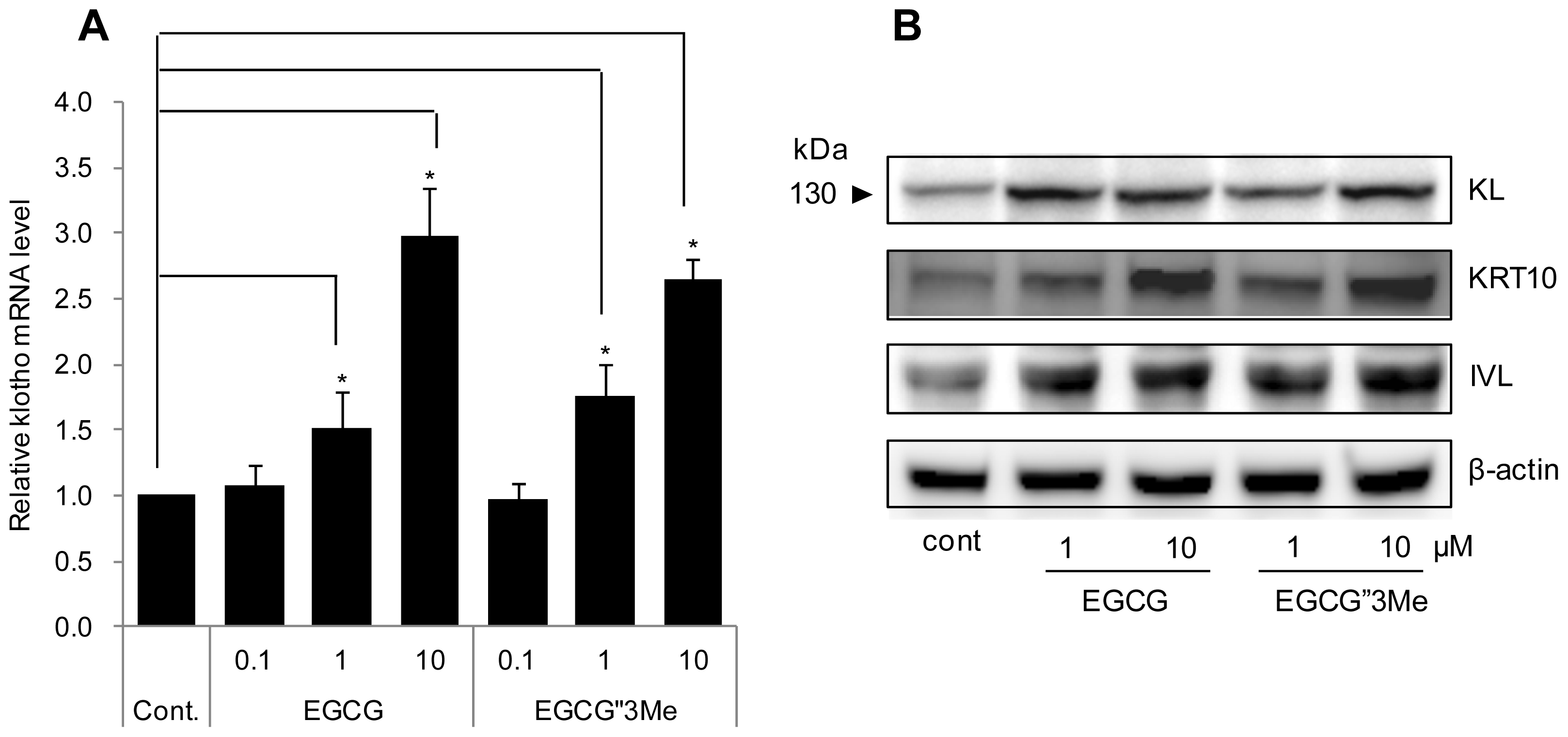 Ijms 15 05749f3 1024