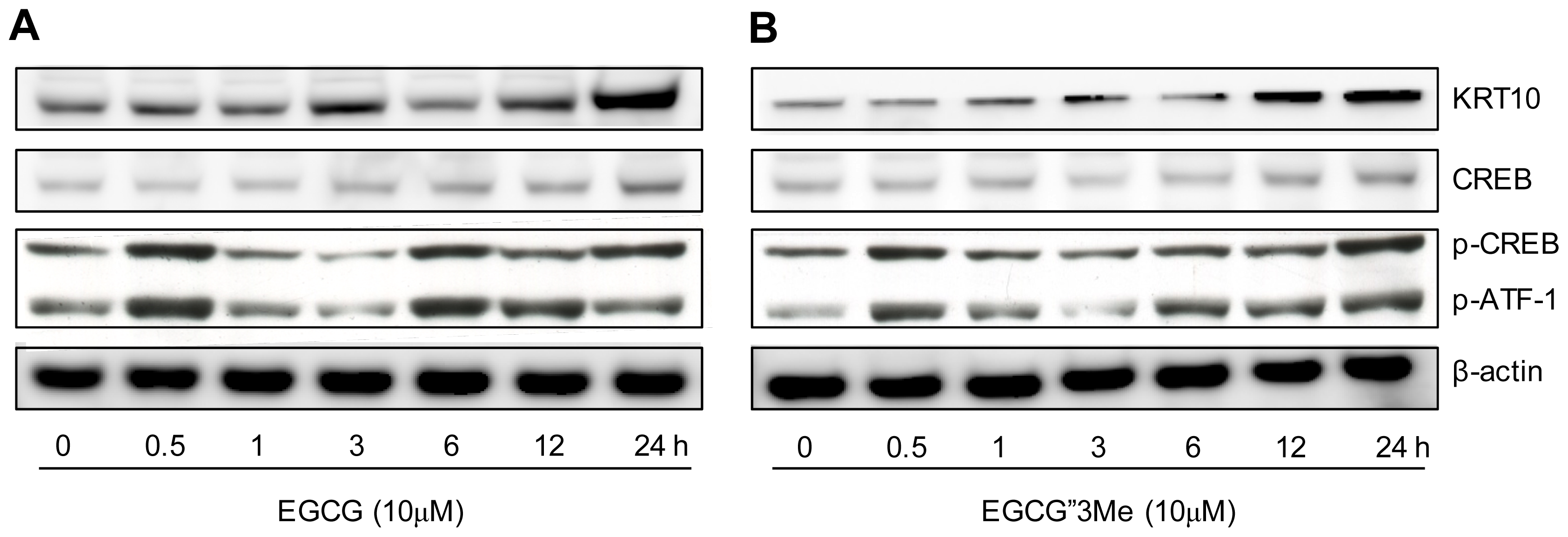 Ijms 15 05749f5a 1024