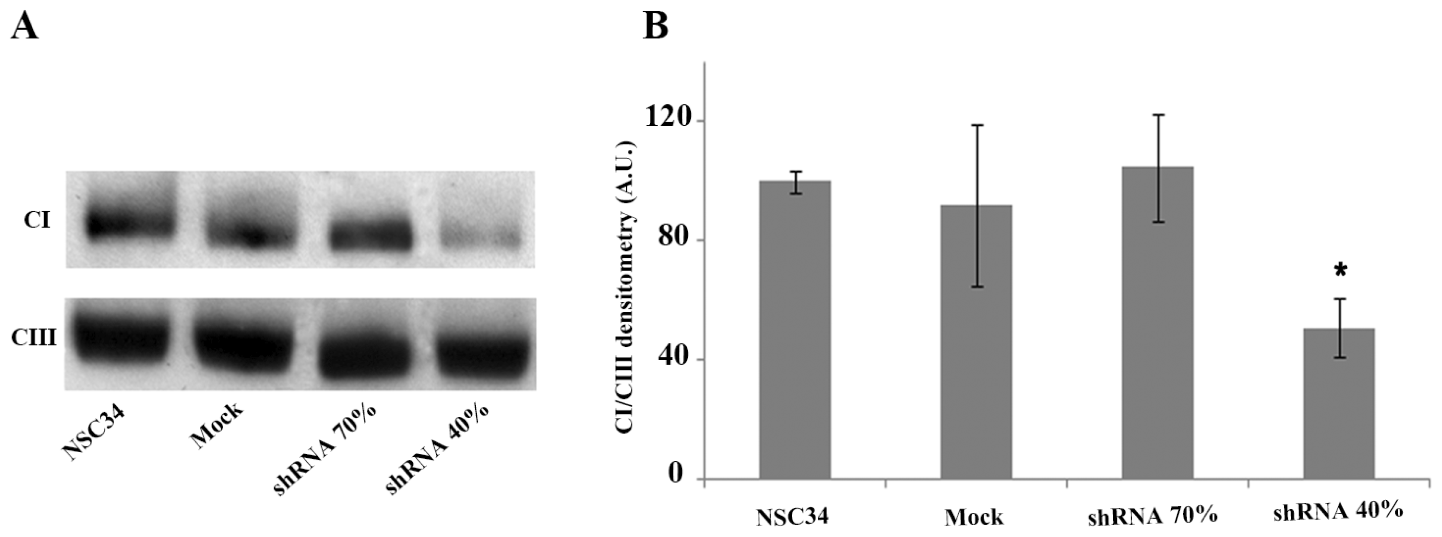 Ijms 15 05789f4 1024