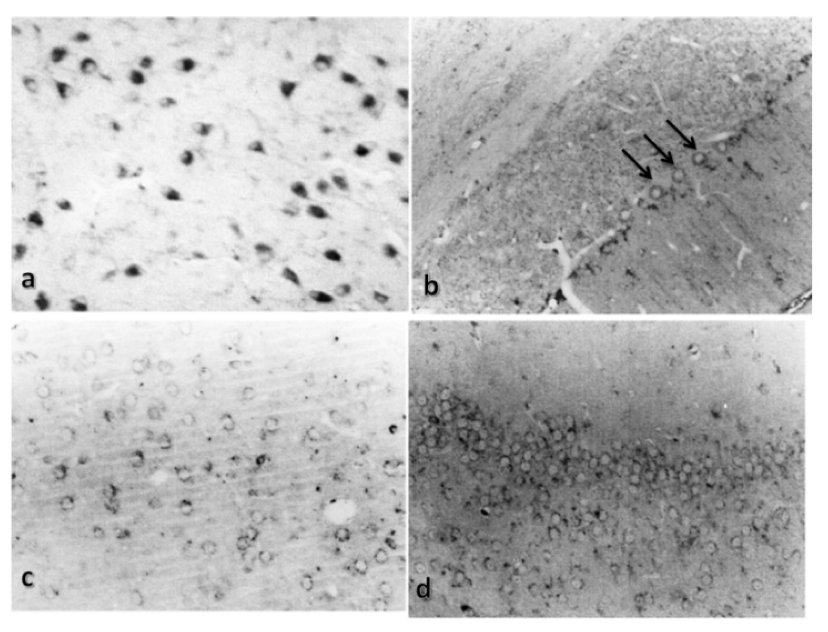 Ijms 15 05807f3 1024