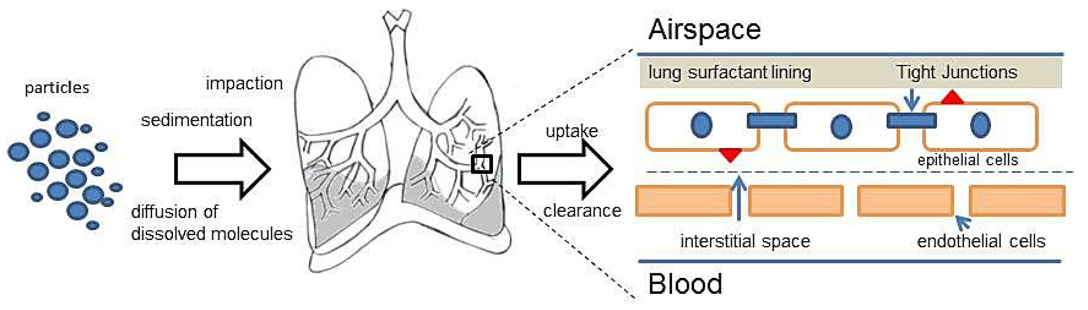 Ijms 15 05852f2 1024