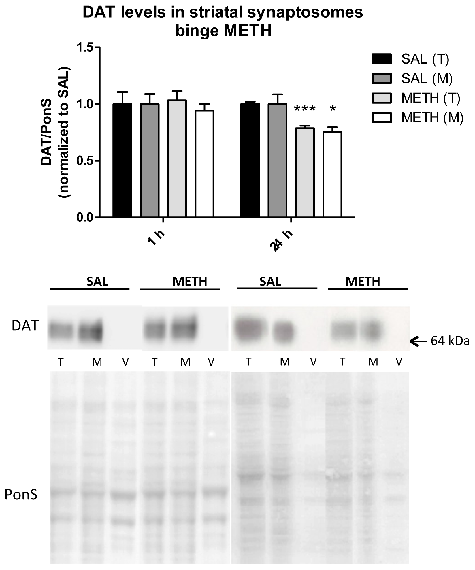 Ijms 15 05884f6 1024