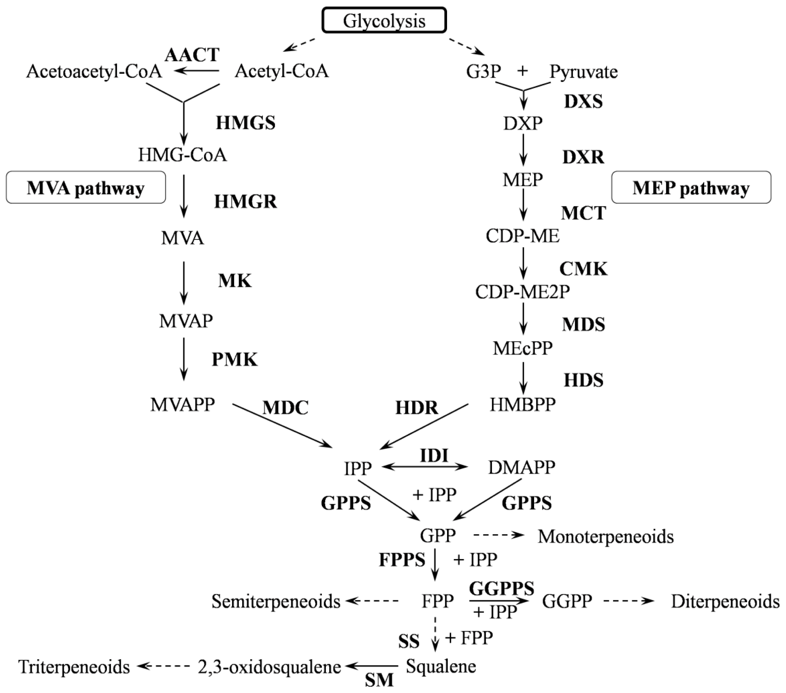 Ijms 15 05970f2 1024