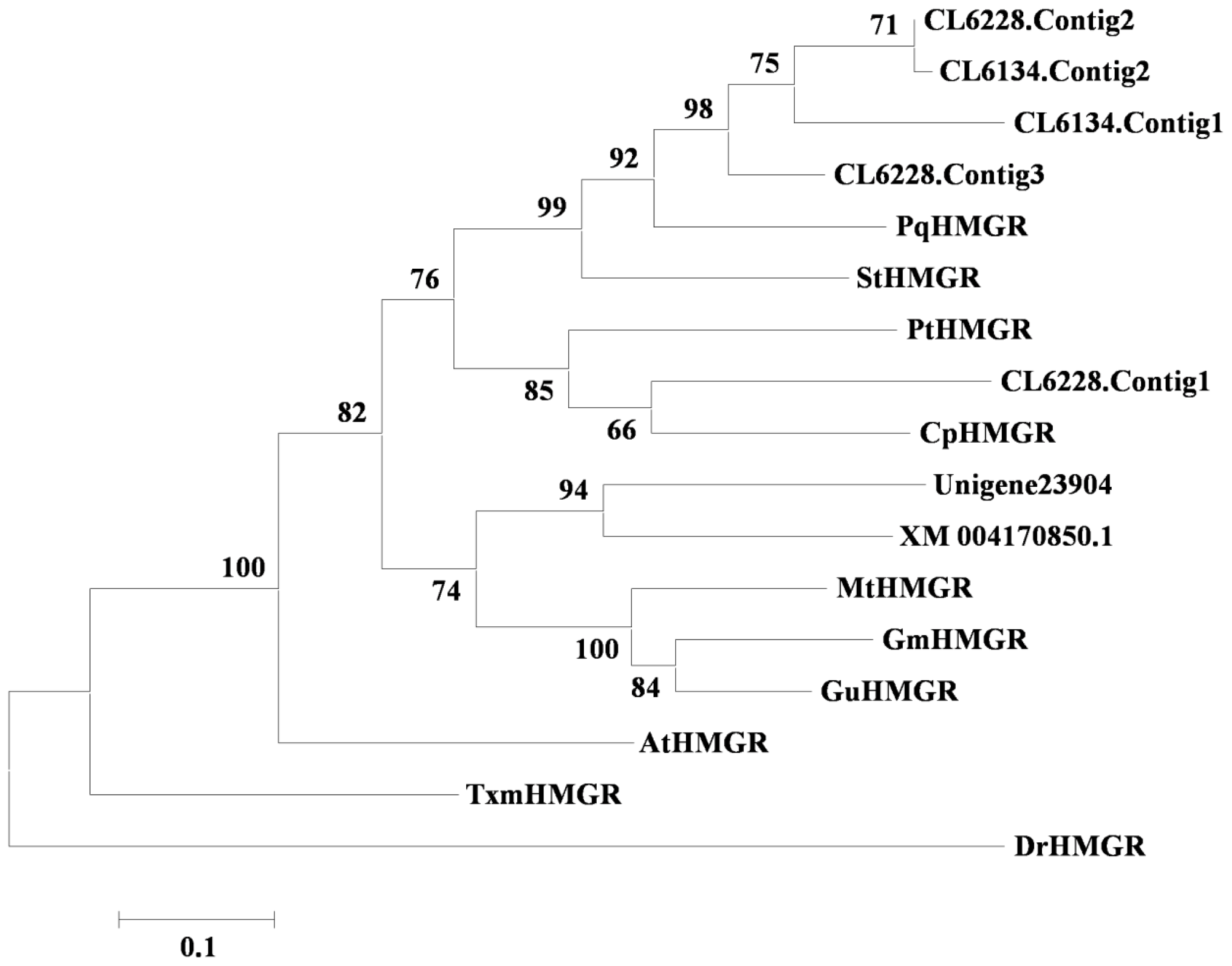 Ijms 15 05970f3 1024
