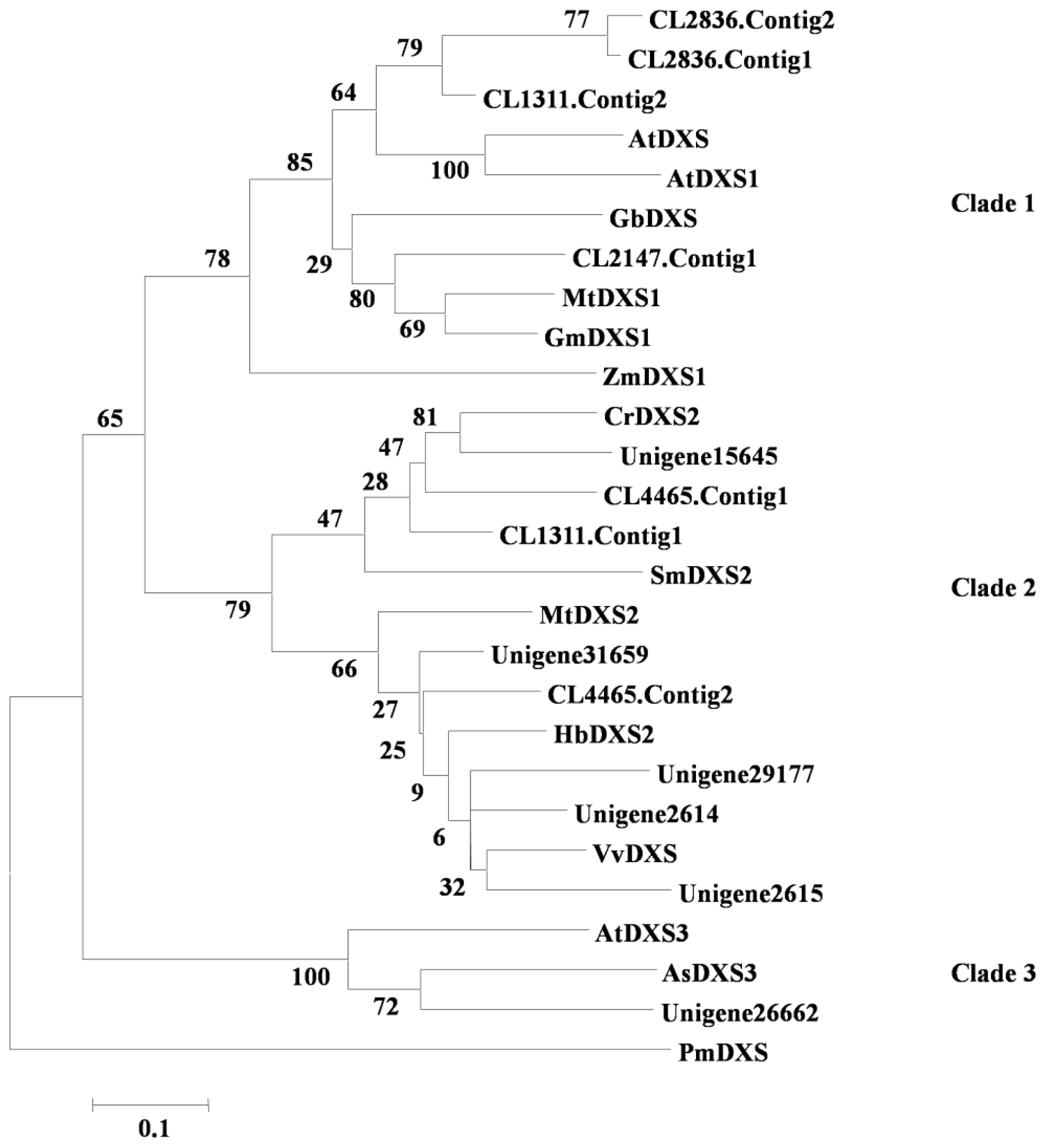 Ijms 15 05970f4 1024