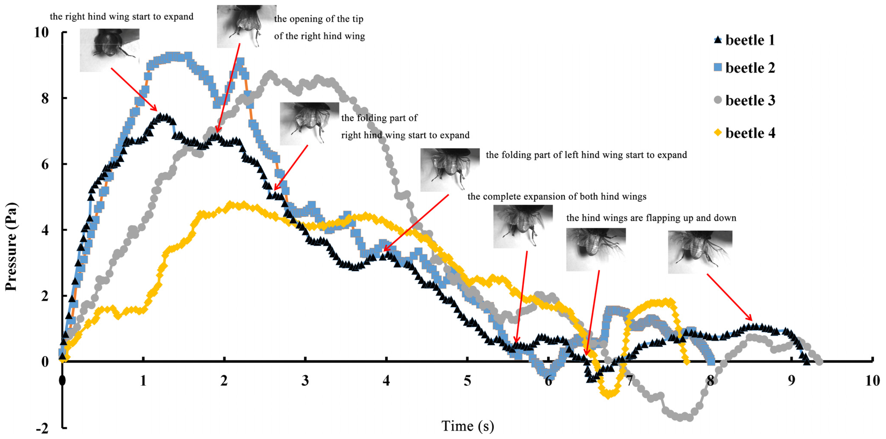 Ijms 15 06009f2 1024