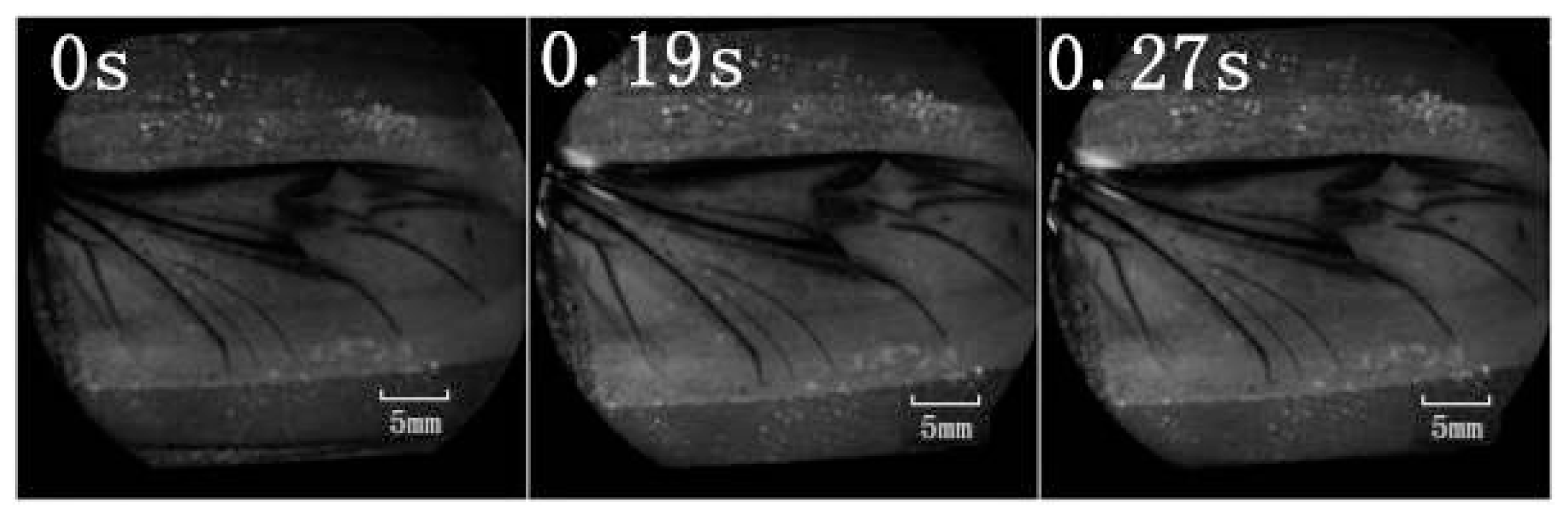 Ijms 15 06009f4a 1024