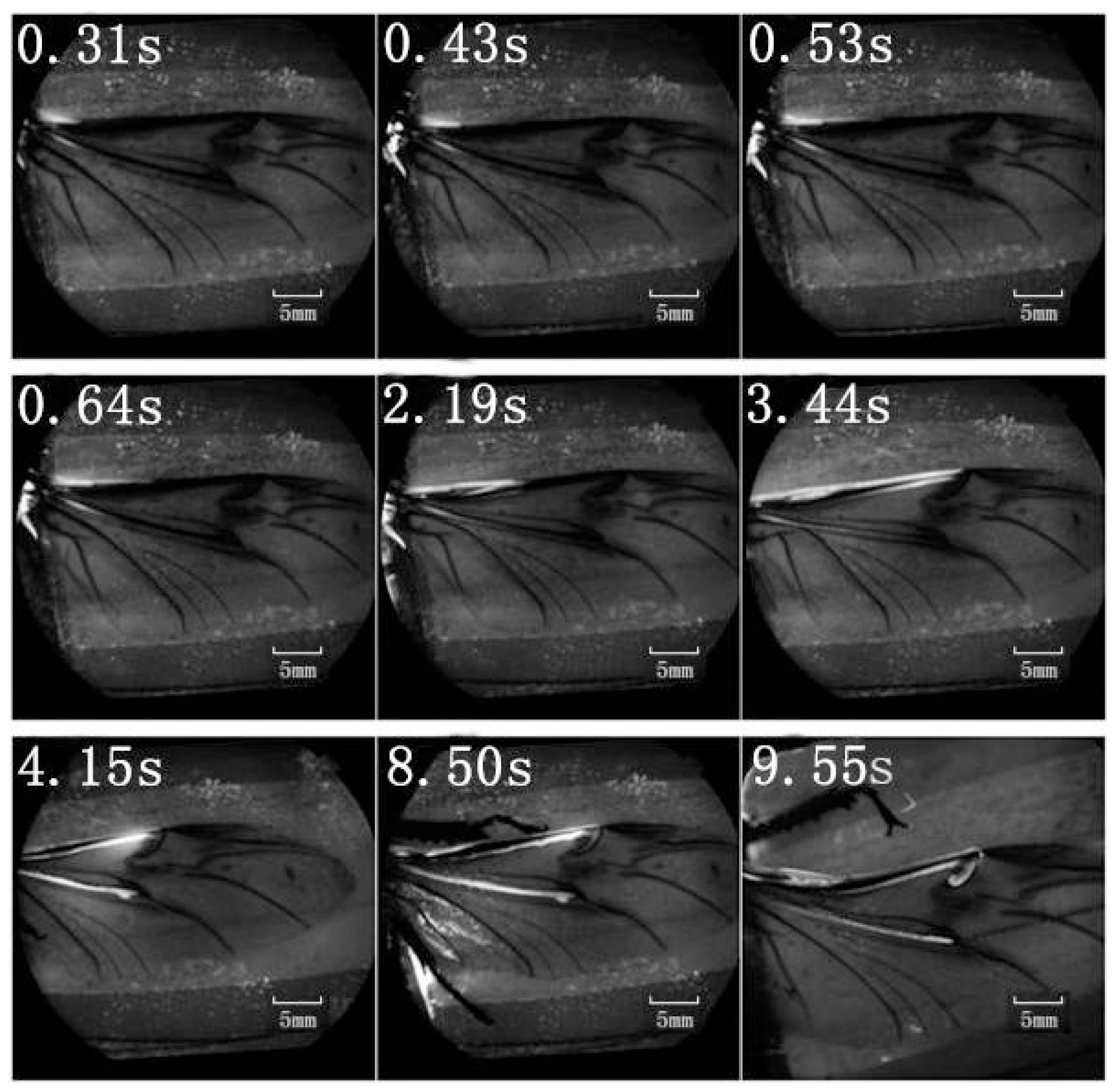 Ijms 15 06009f4b 1024