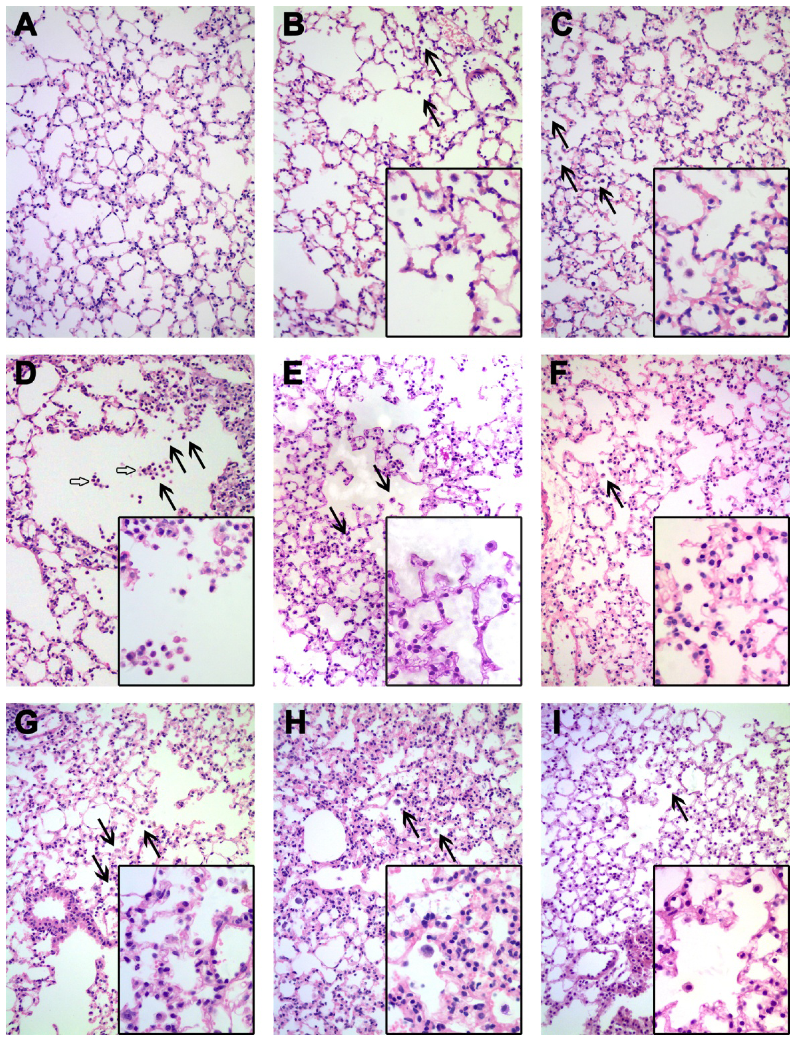 Ijms 15 06072f5 1024