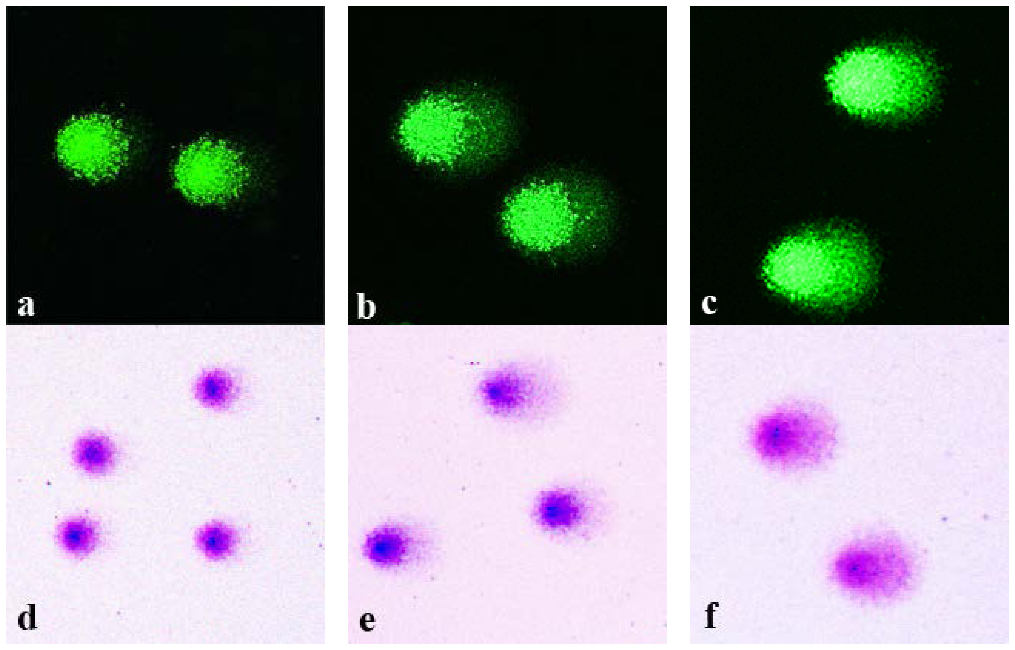 Ijms 15 06086f1 1024