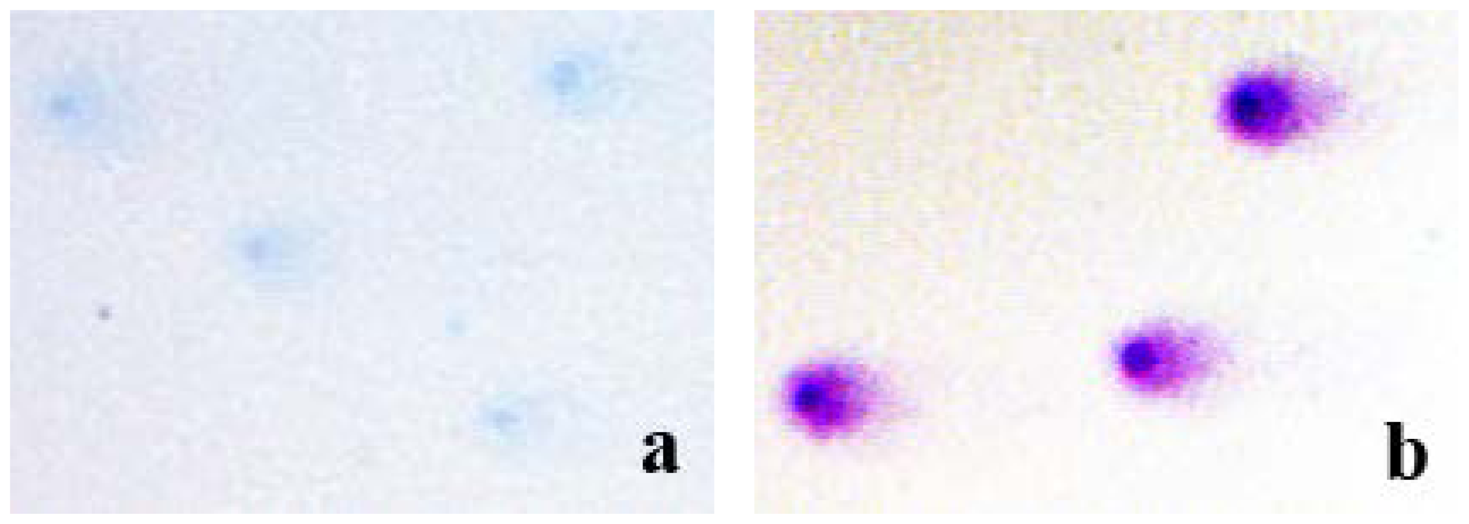 Ijms 15 06086f4 1024