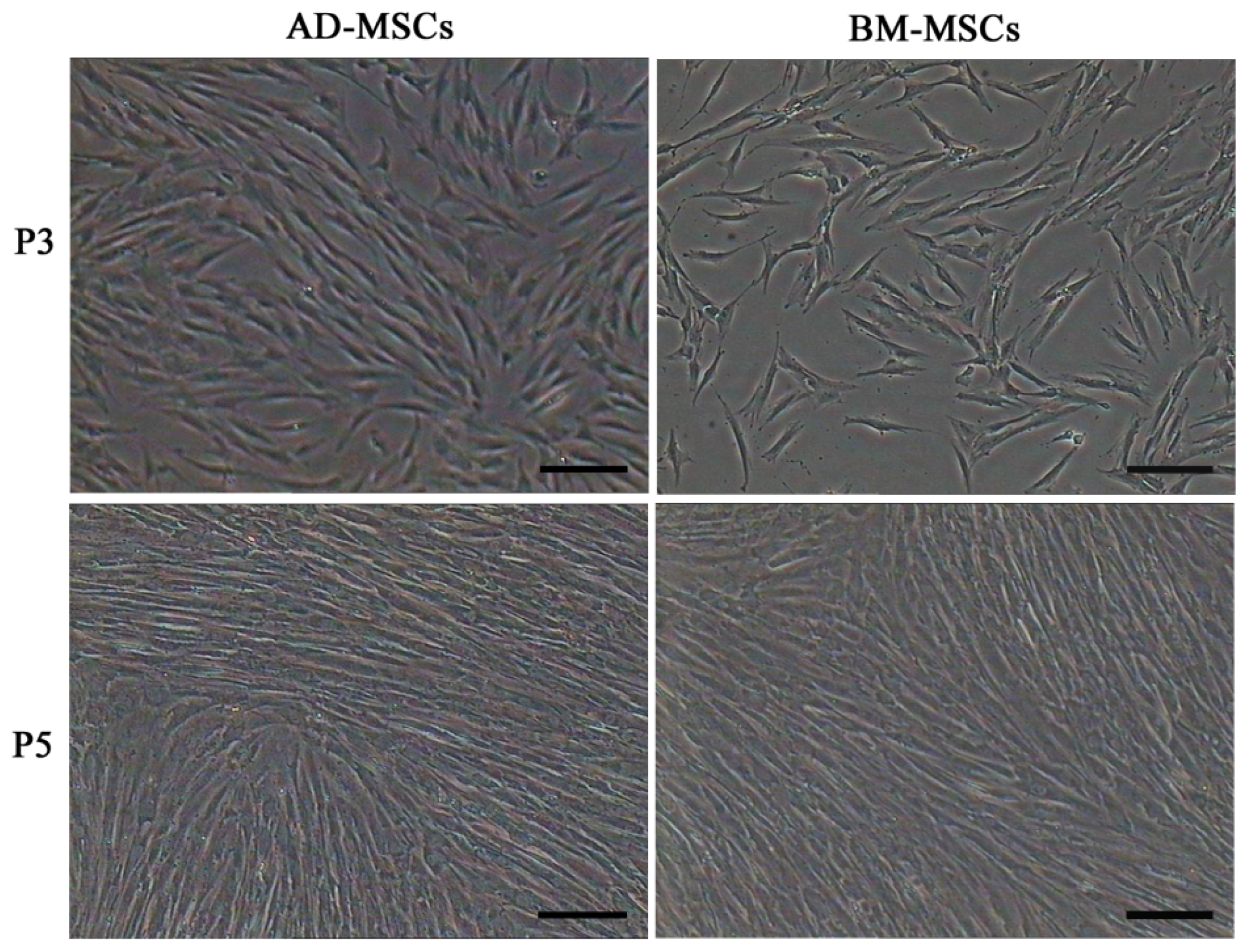 Ijms 15 06096f1 1024