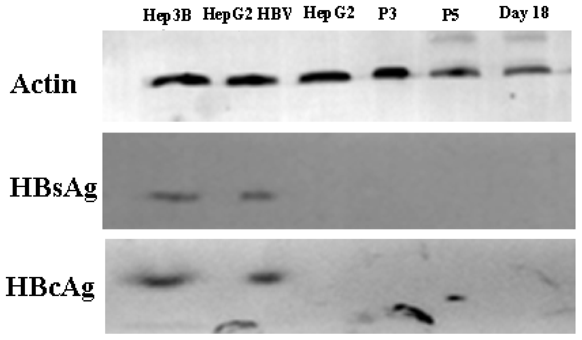 Ijms 15 06096f11 1024