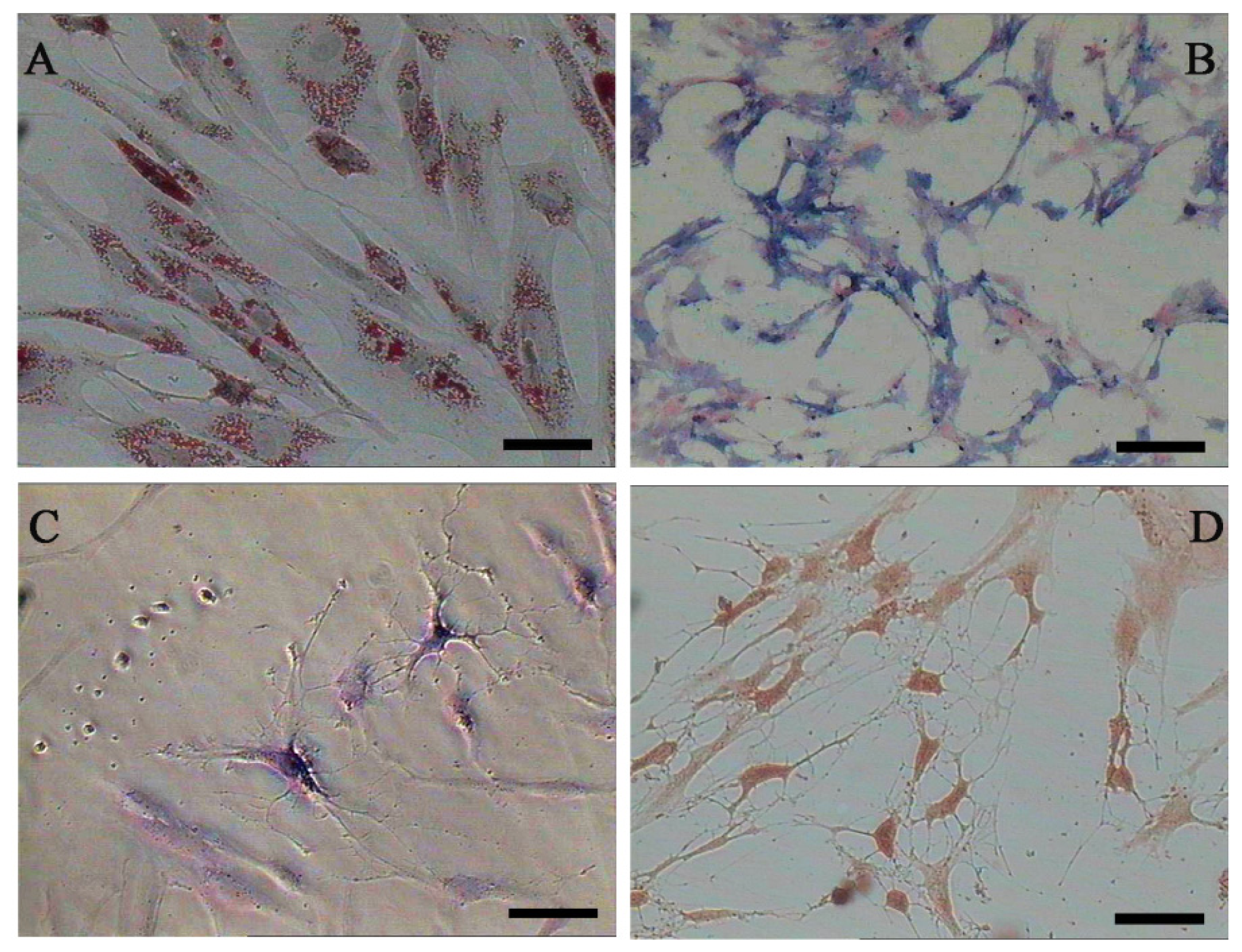 Ijms 15 06096f4 1024