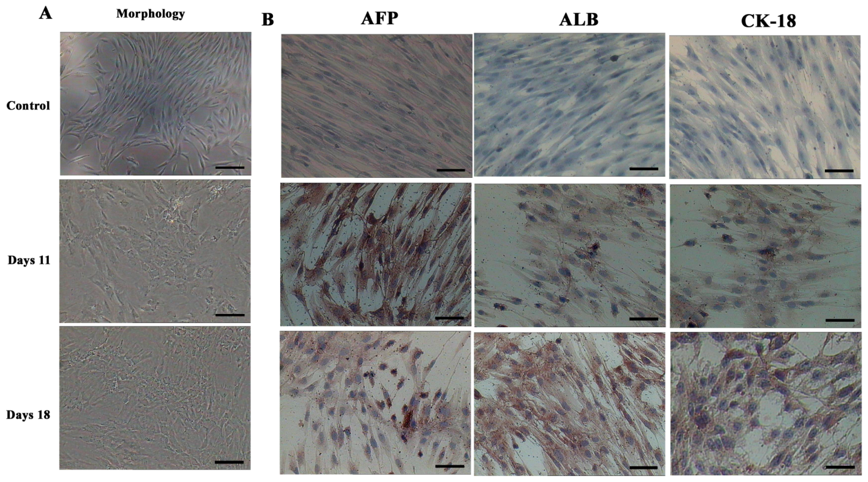 Ijms 15 06096f6 1024