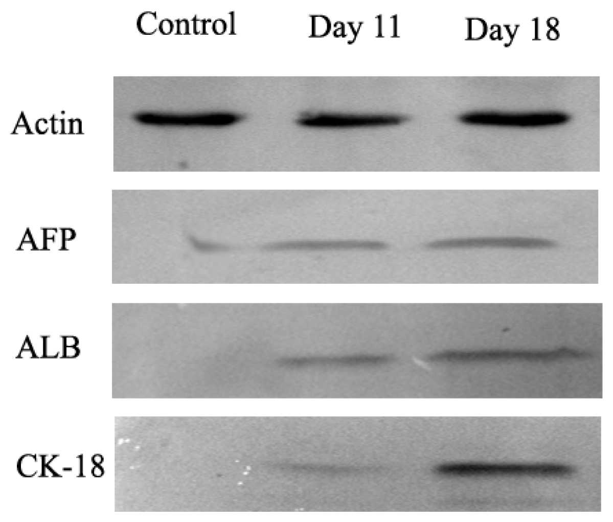 Ijms 15 06096f7 1024