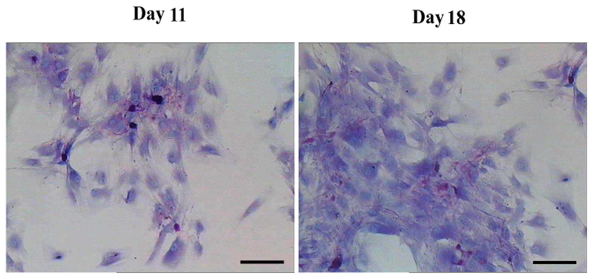 Ijms 15 06096f8 1024