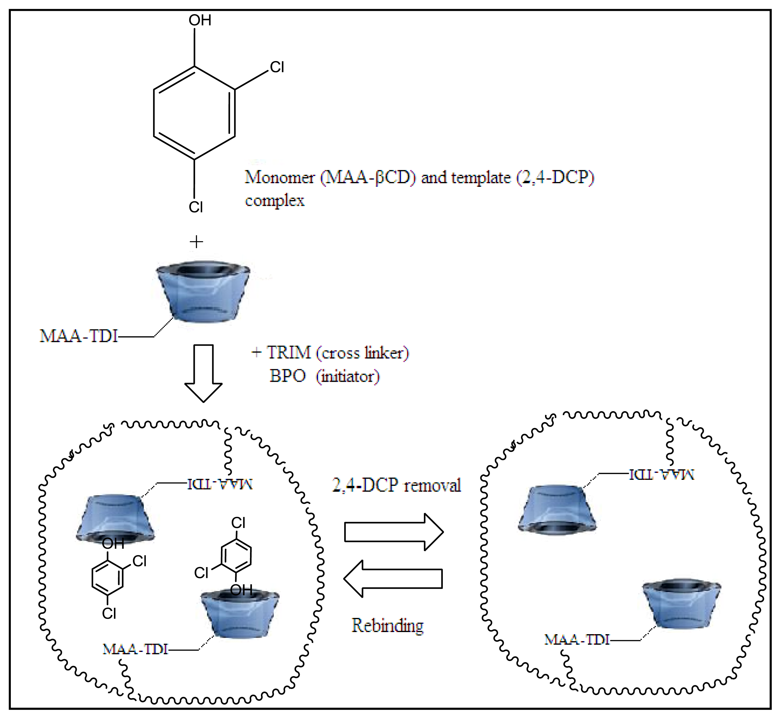 Ijms 15 06111f9 1024