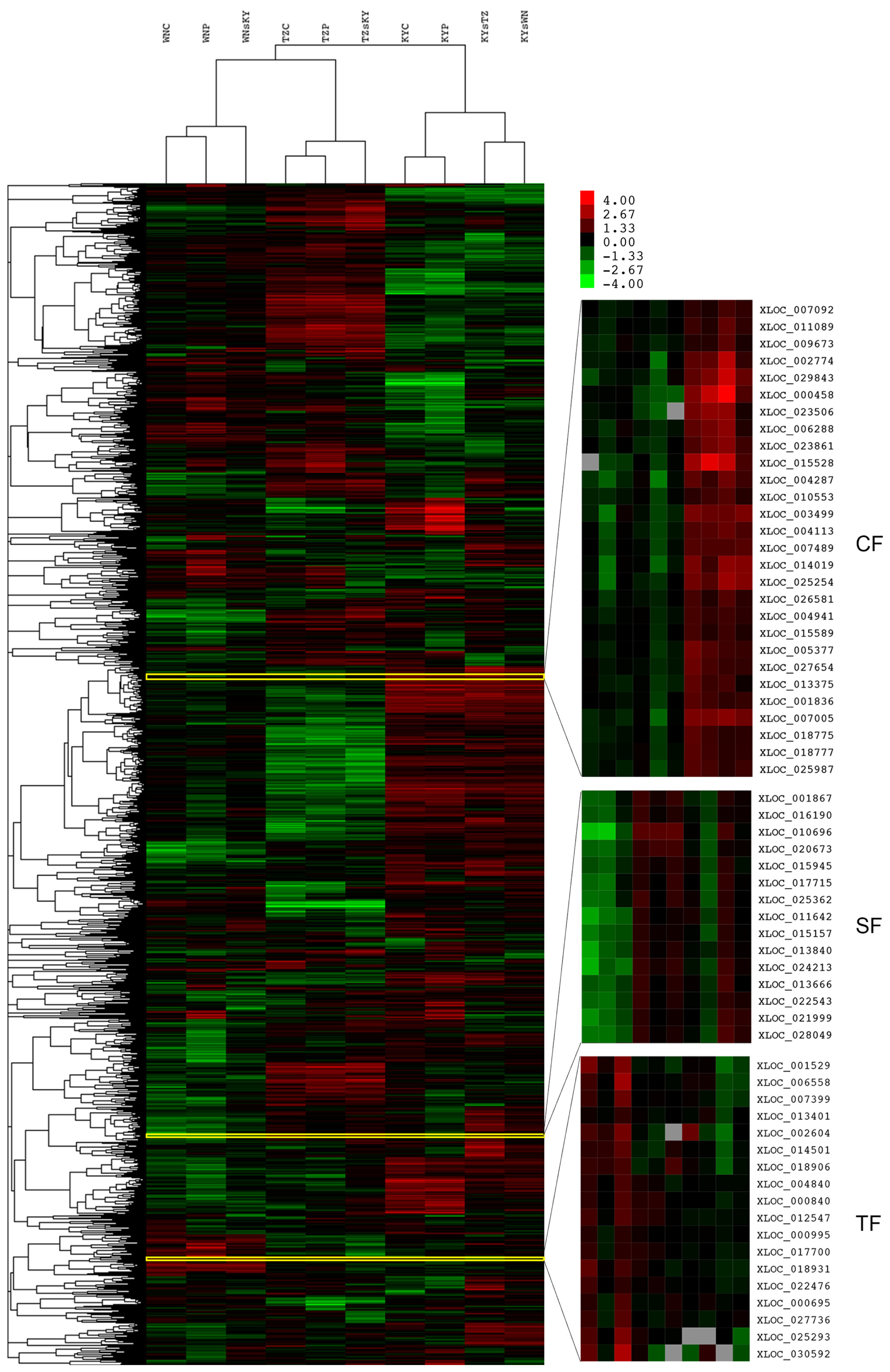 Ijms 15 06137f3 1024