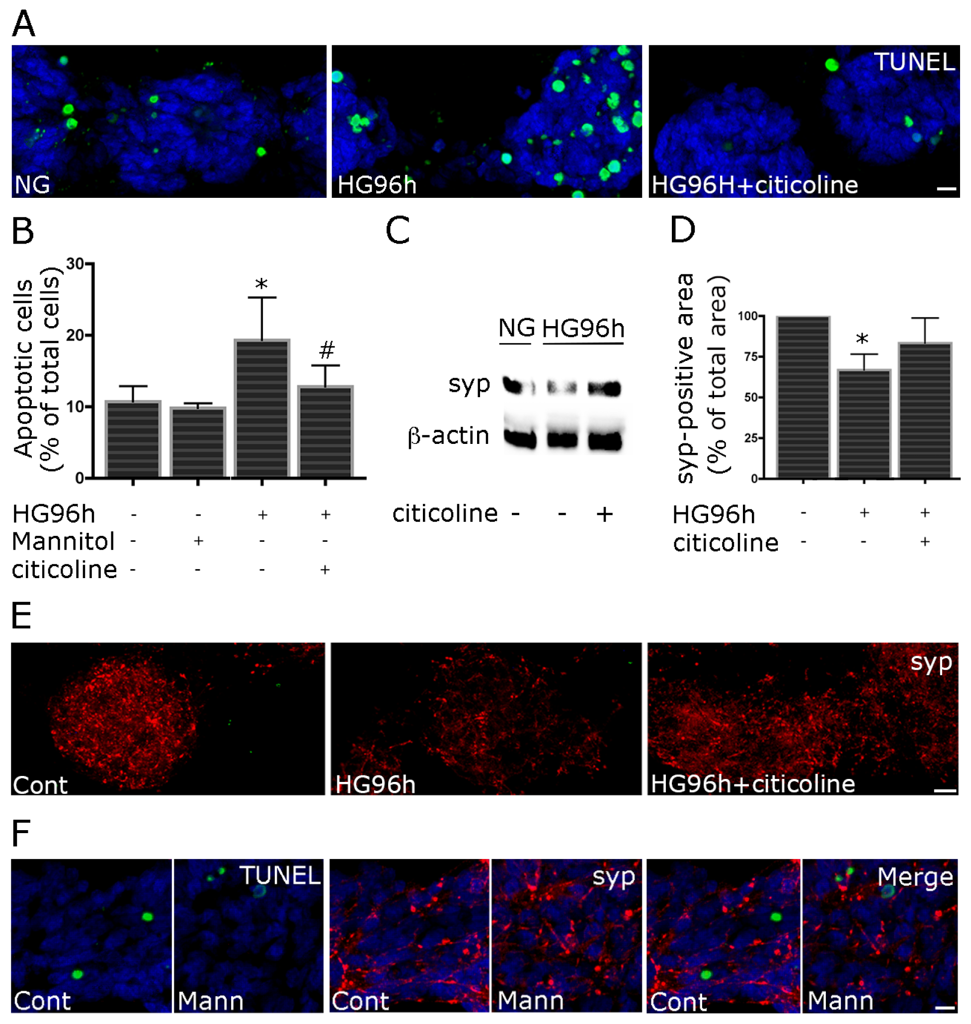Ijms 15 06286f3 1024