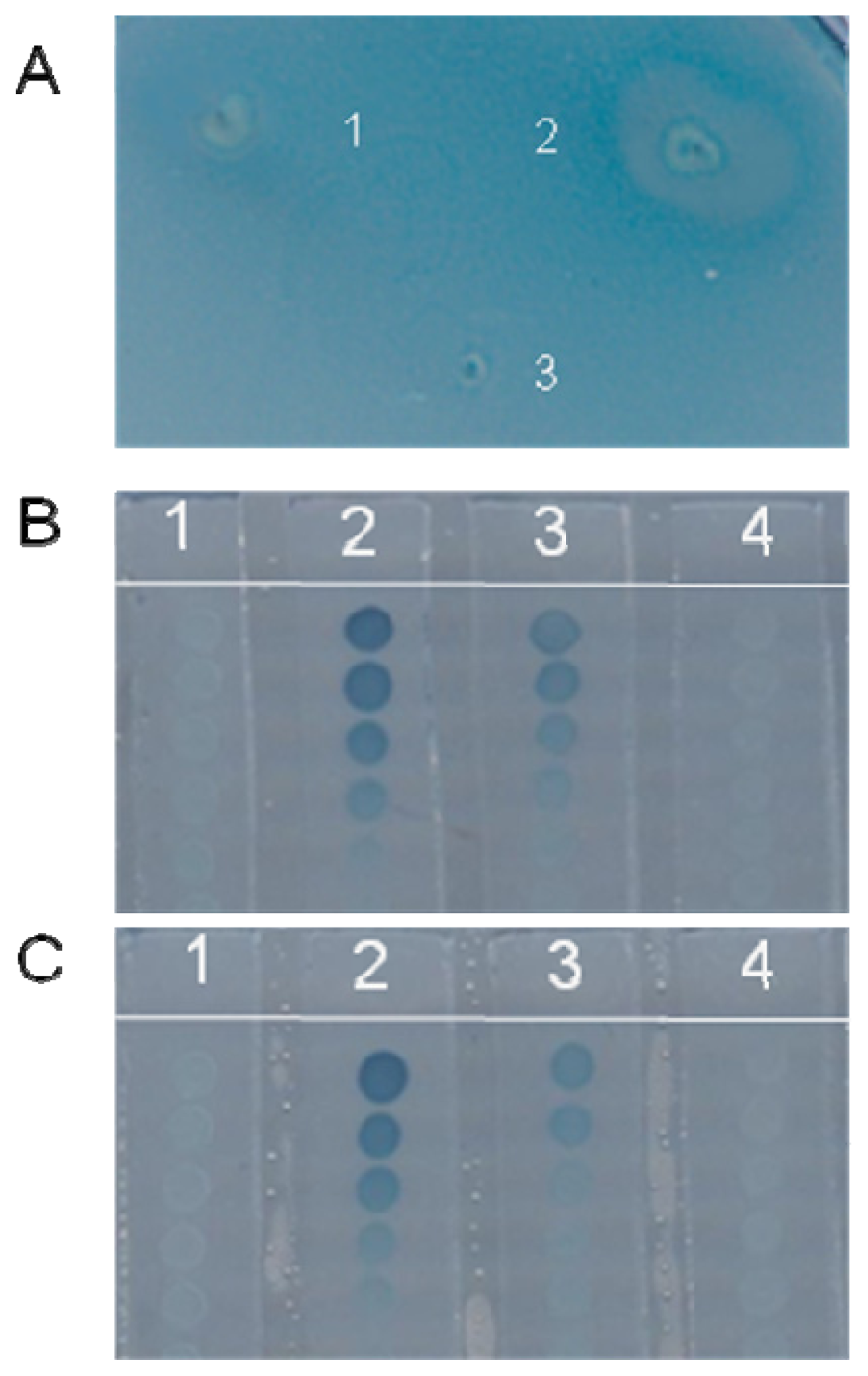 Ijms 15 06328f1 1024