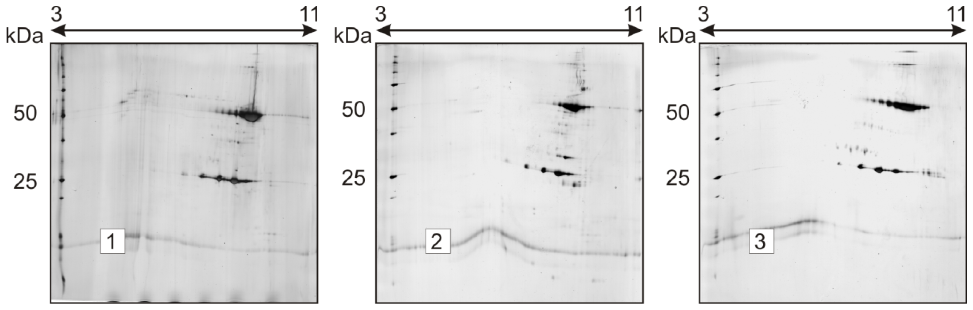 Ijms 15 06399f3 1024