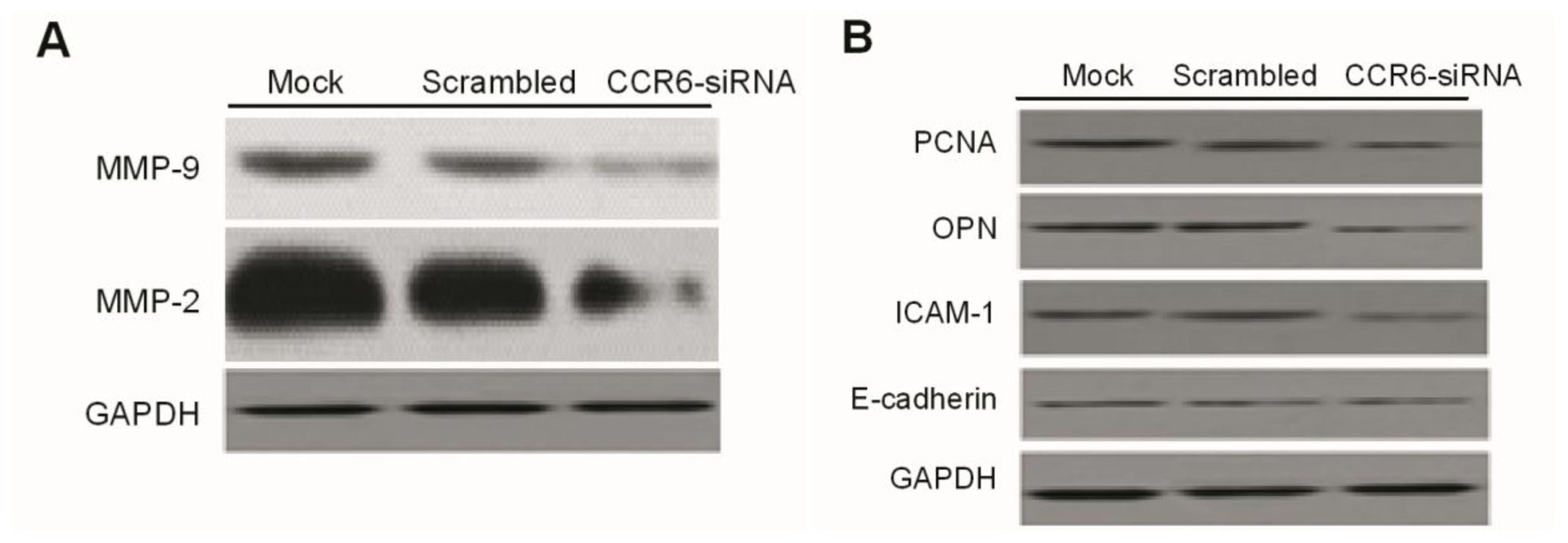 Ijms 15 06441f6 1024