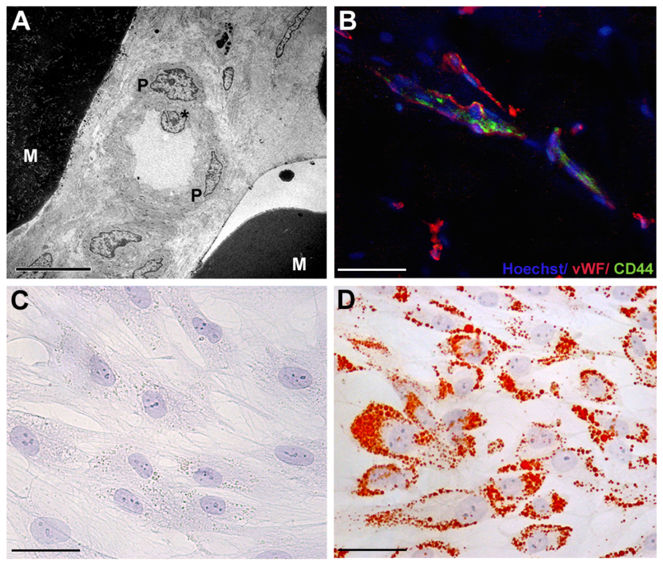 Ijms 15 06517f1 1024