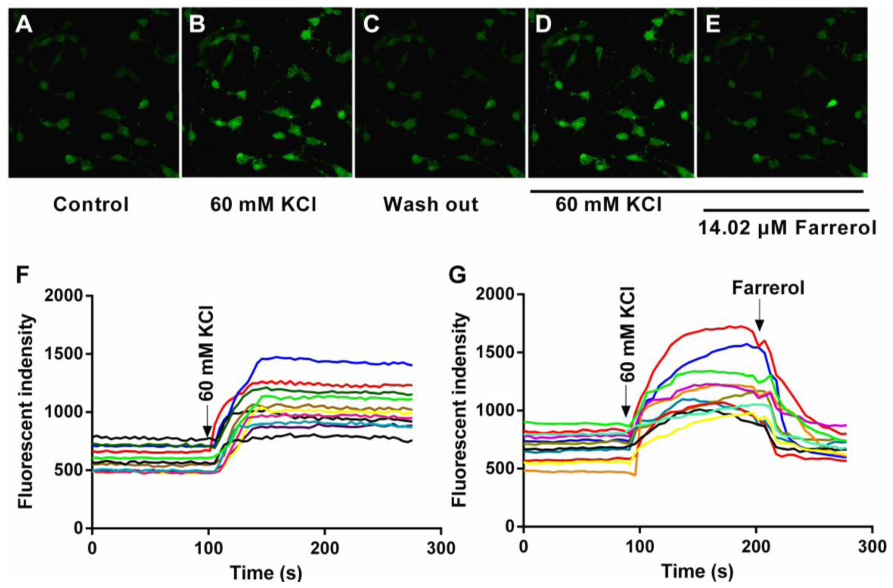 Ijms 15 06641f5 1024