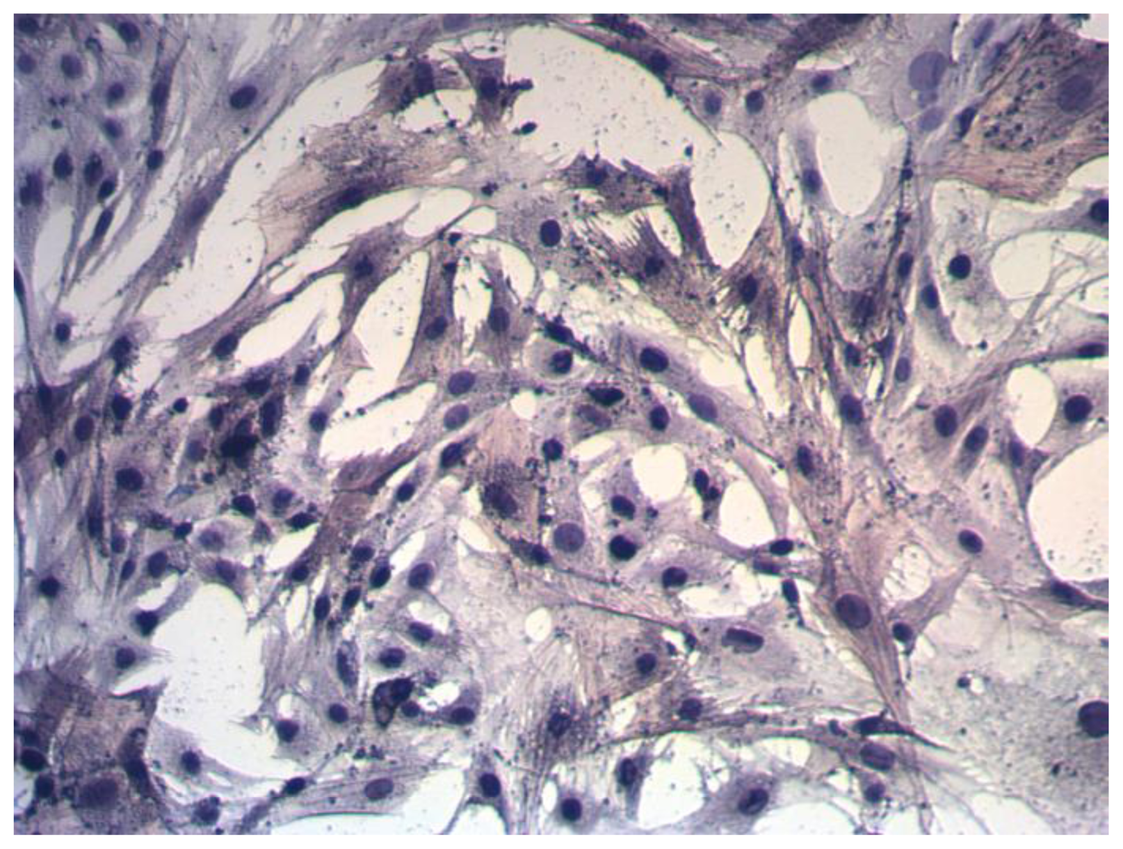 Ijms 15 06641f8 1024