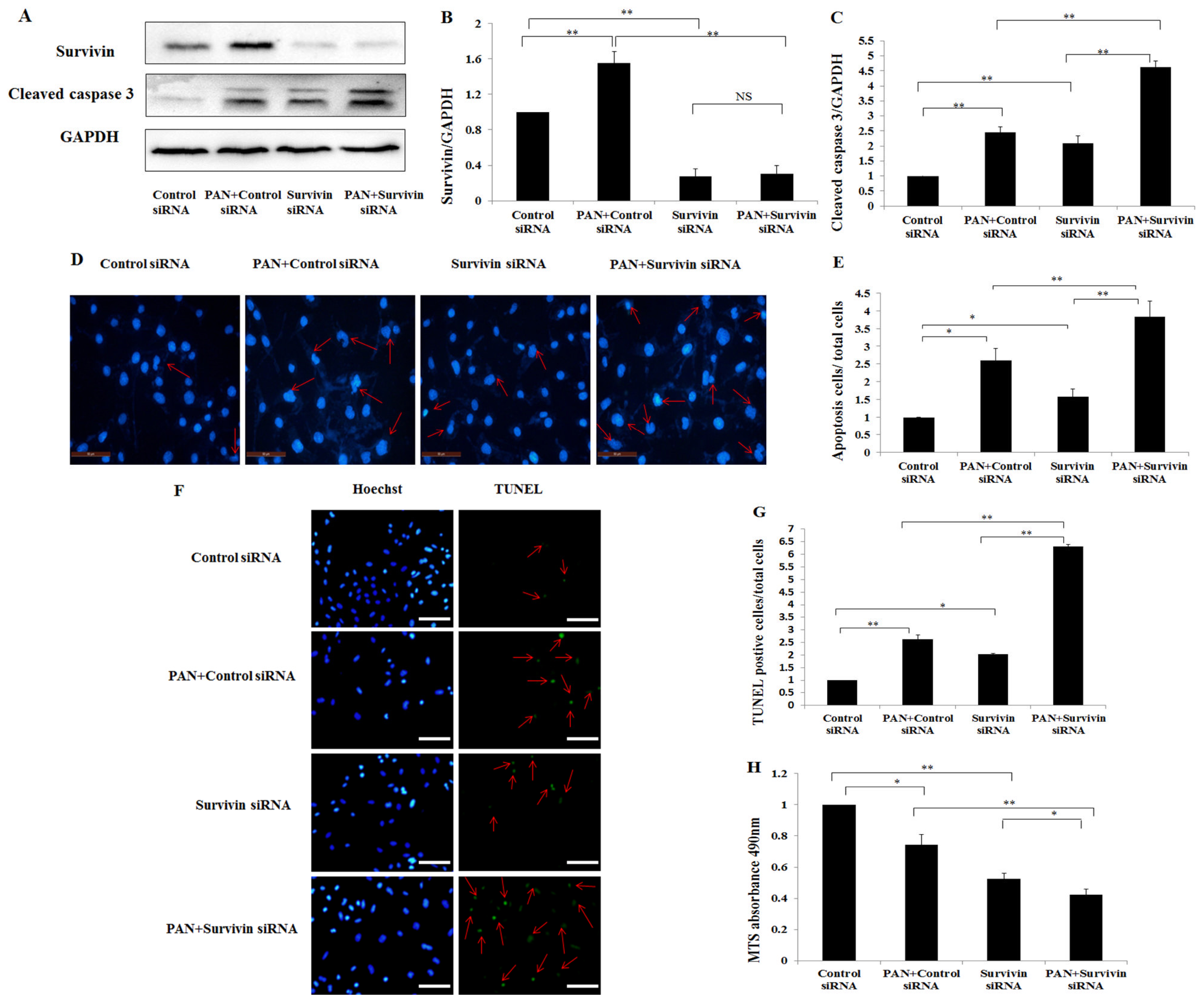 Ijms 15 06657f4a 1024