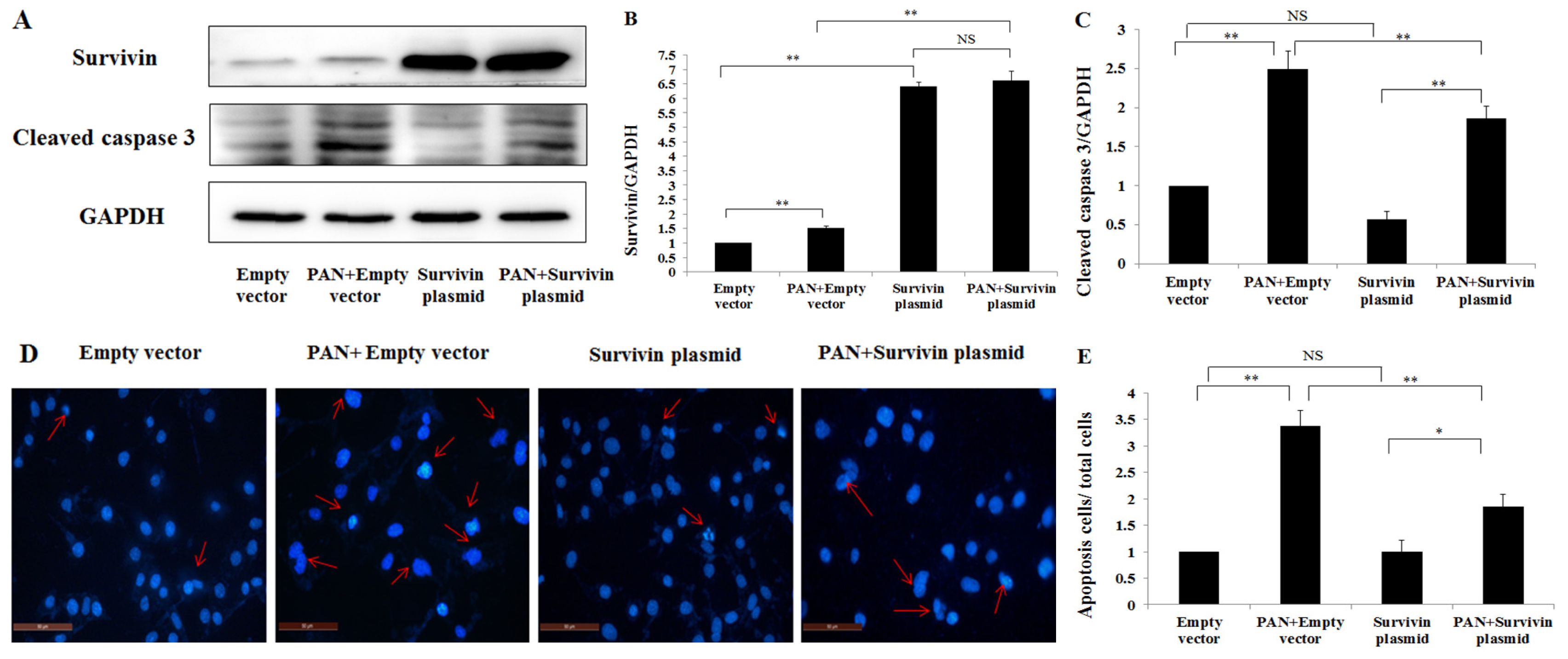 Ijms 15 06657f5a 1024