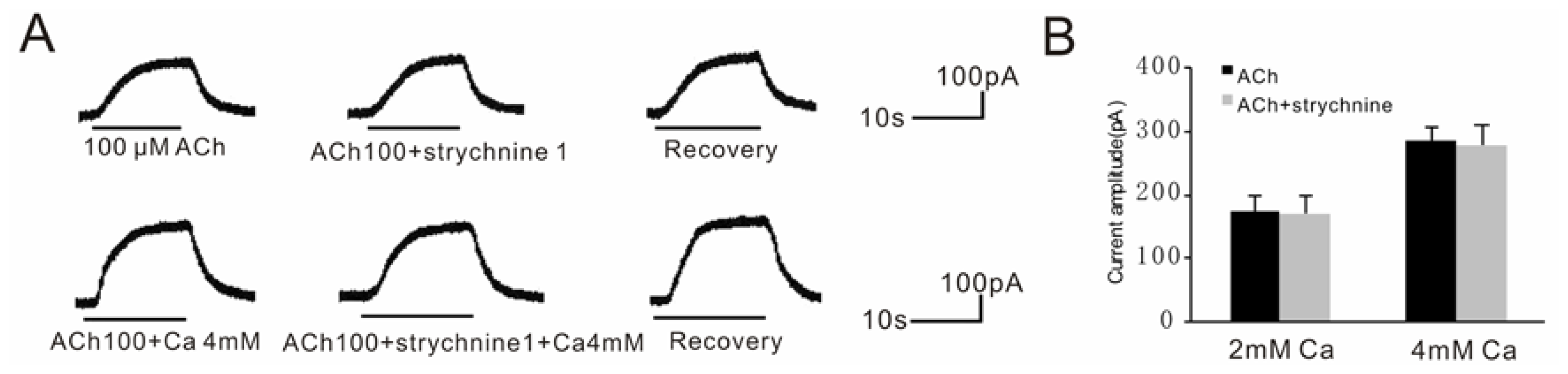 Ijms 15 06757f6 1024