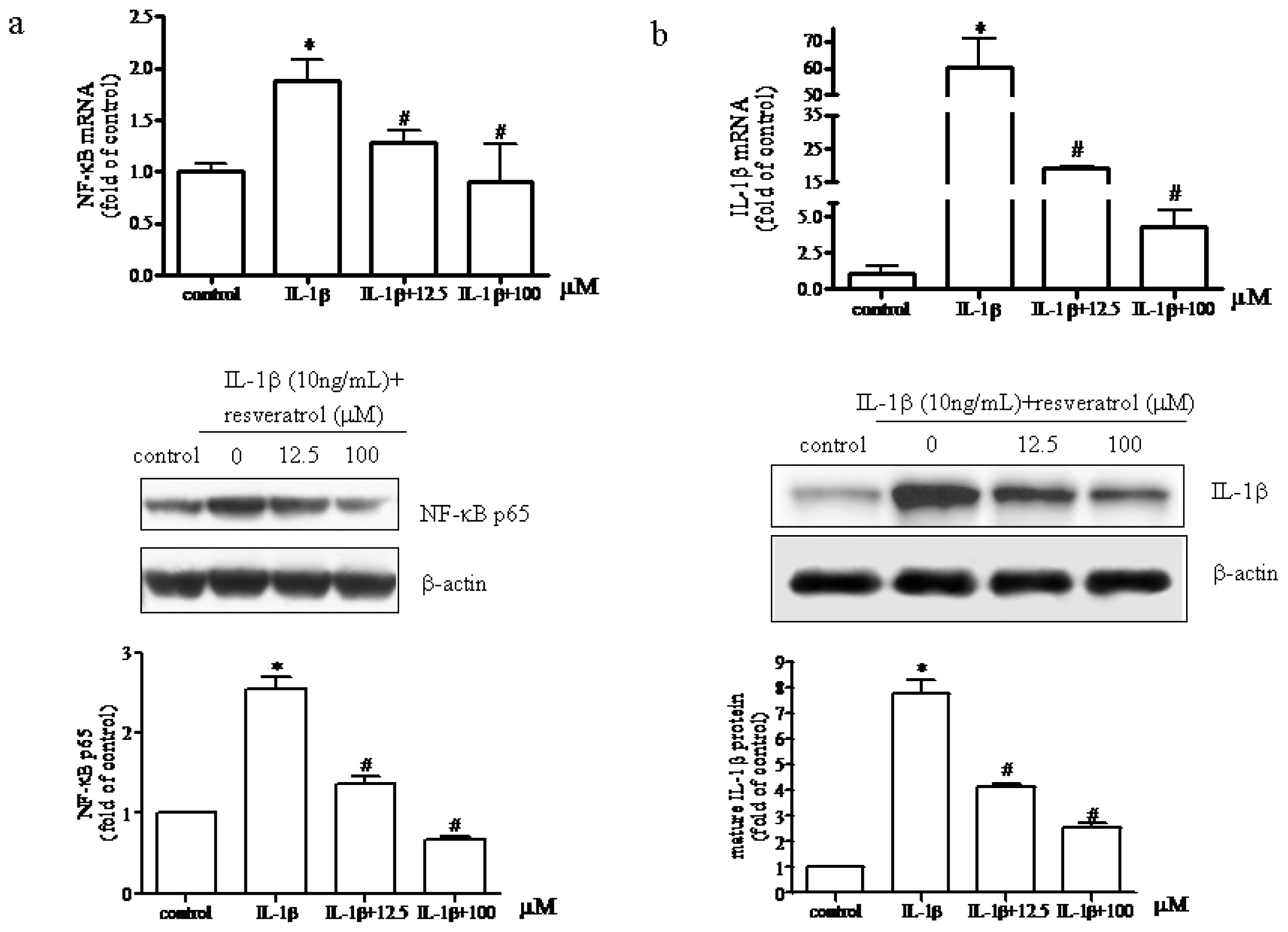Ijms 15 06925f3 1024