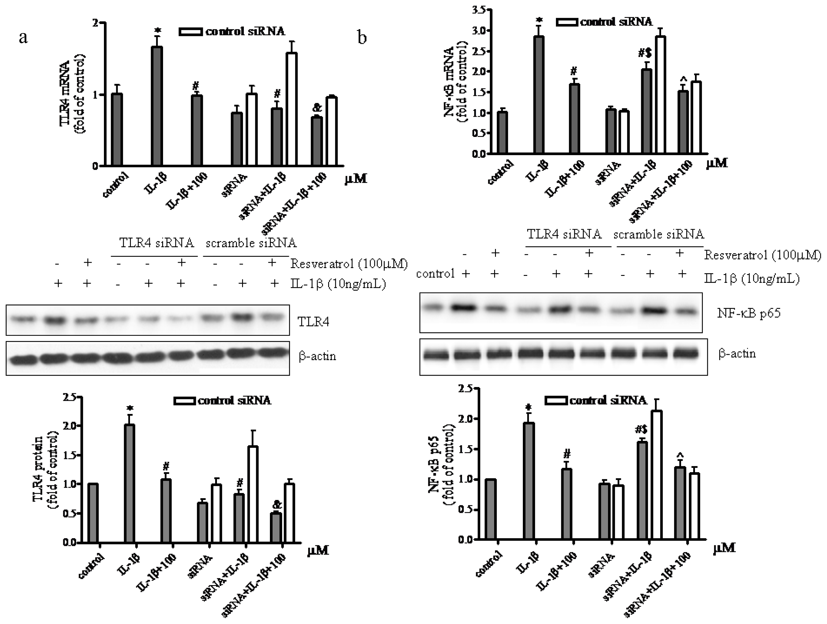 Ijms 15 06925f4 1024