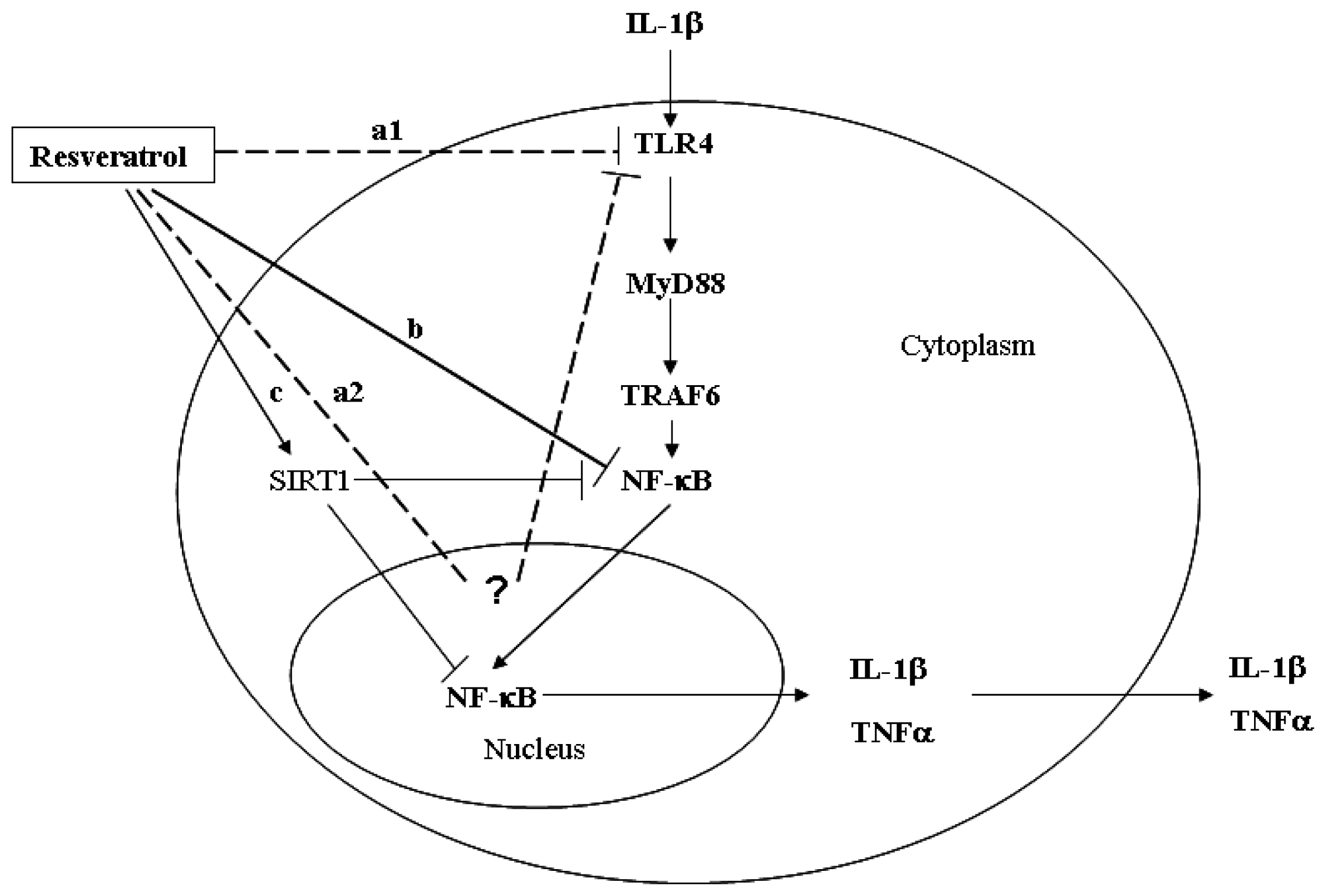 Ijms 15 06925f6 1024