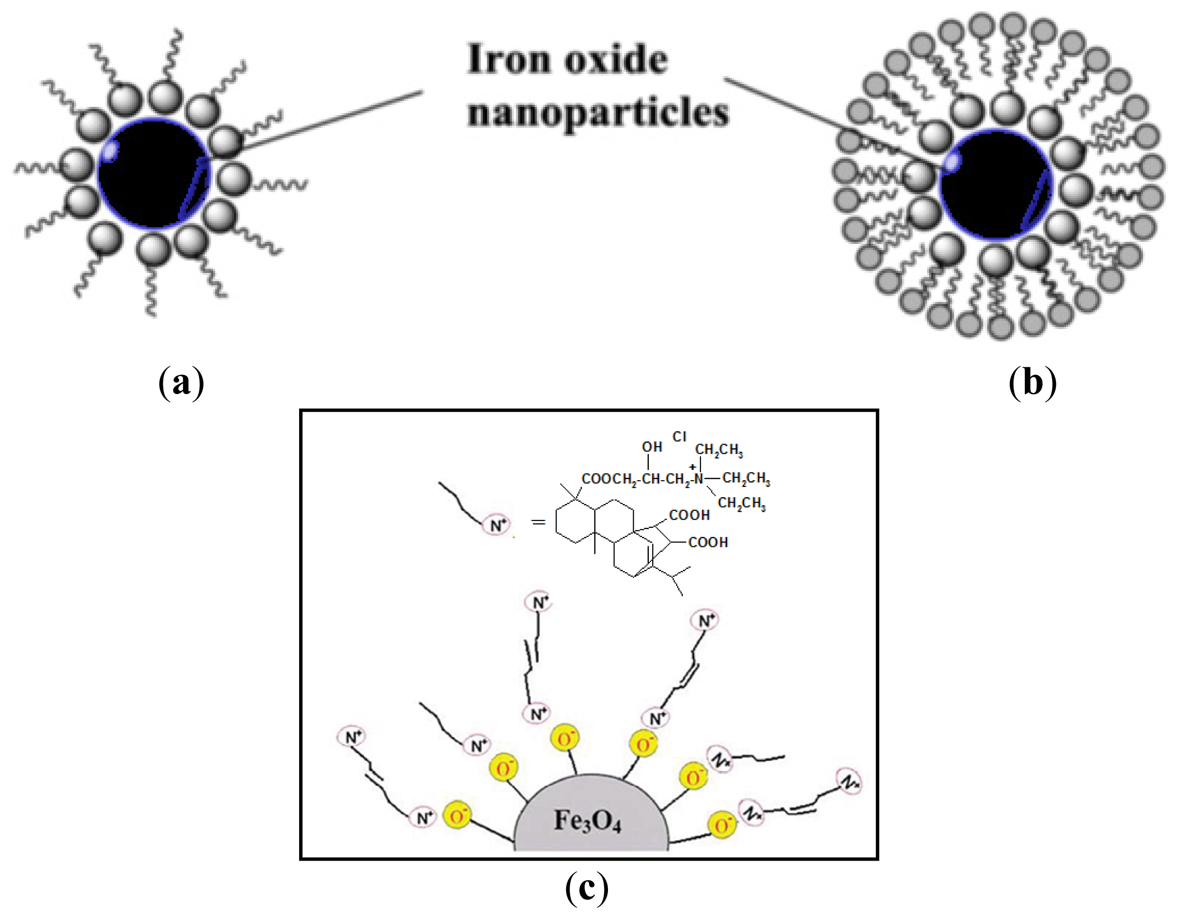 Ijms 15 06974f10 1024