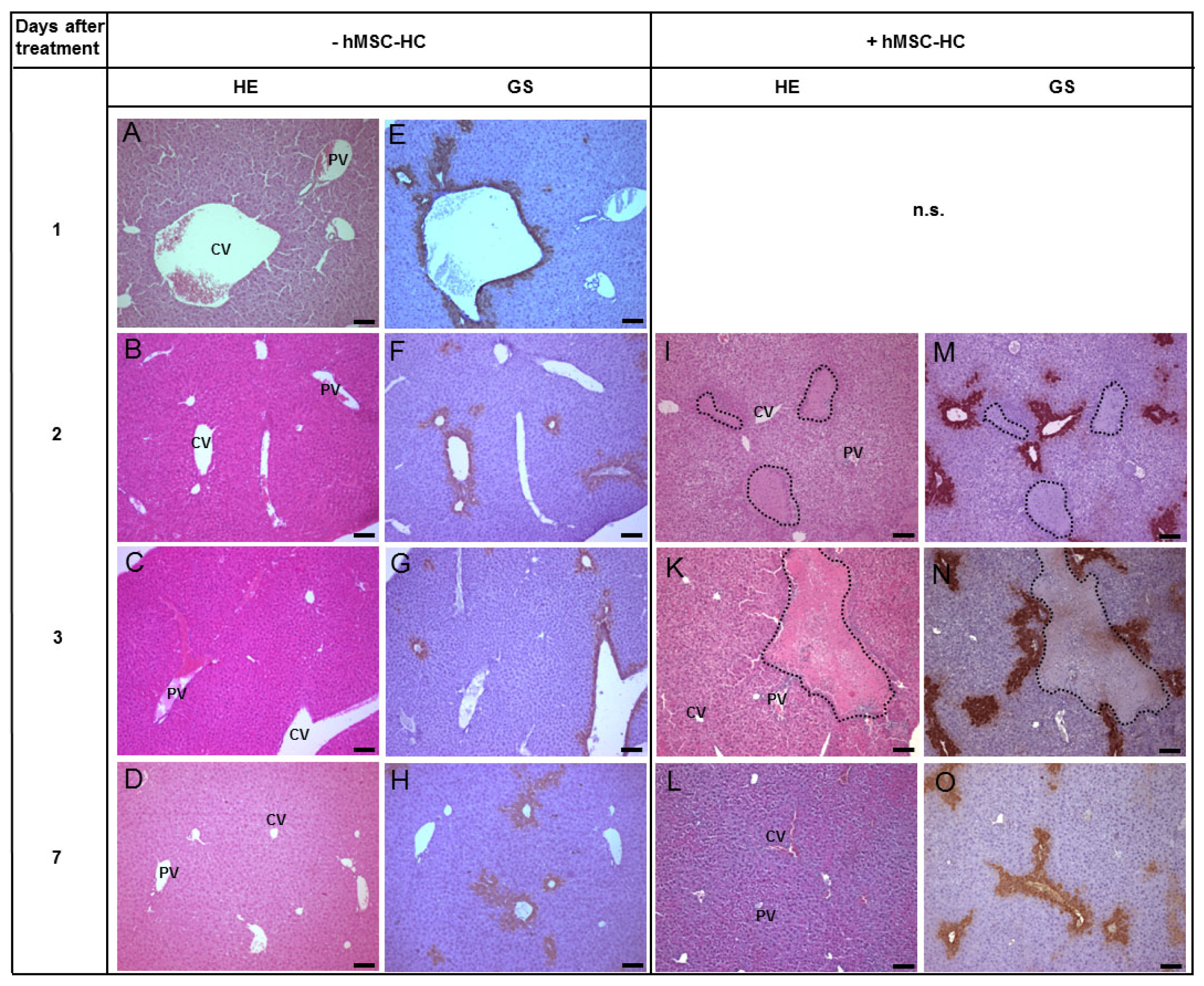 Ijms 15 07004f2 1024