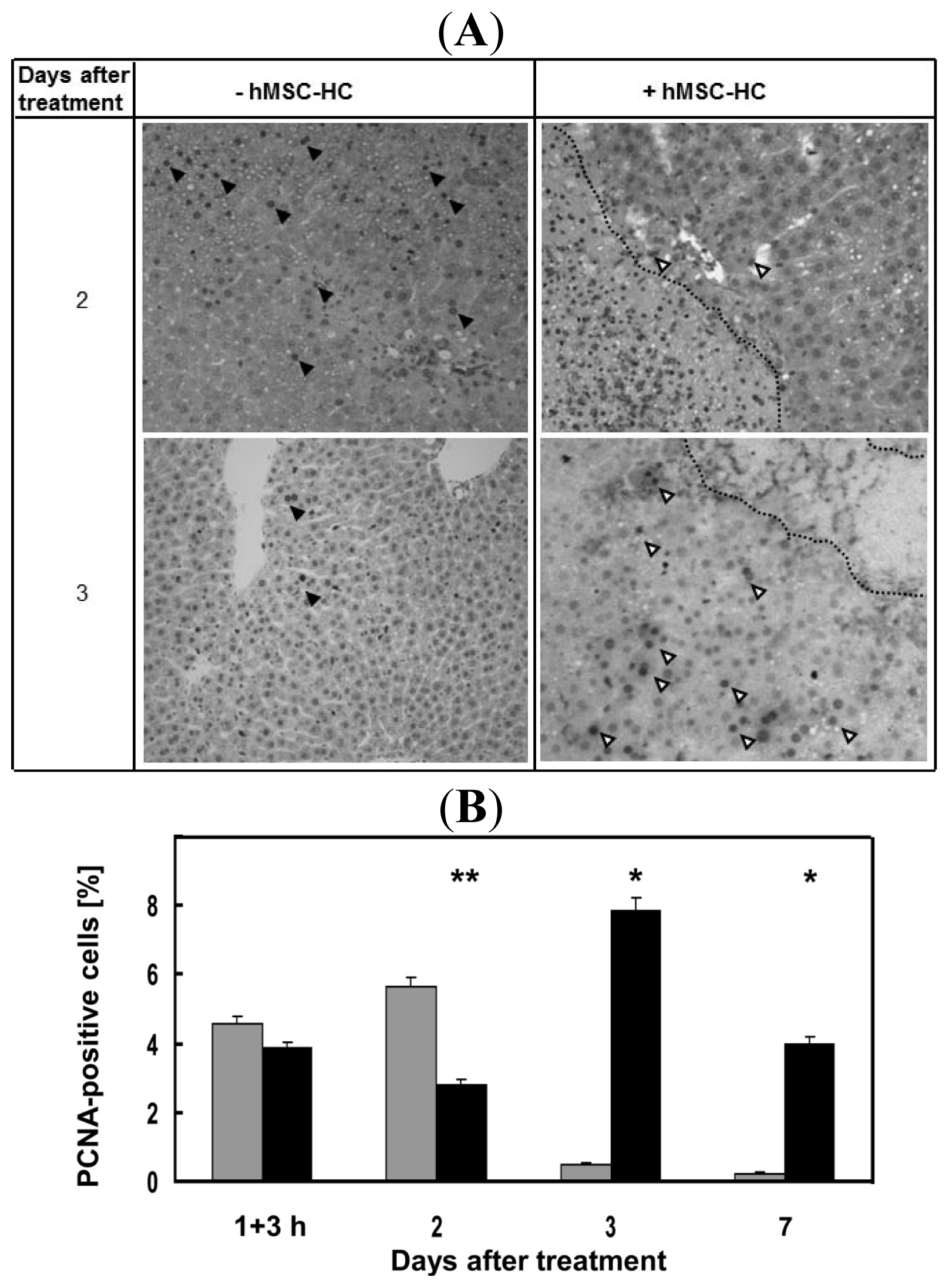 Ijms 15 07004f6 1024