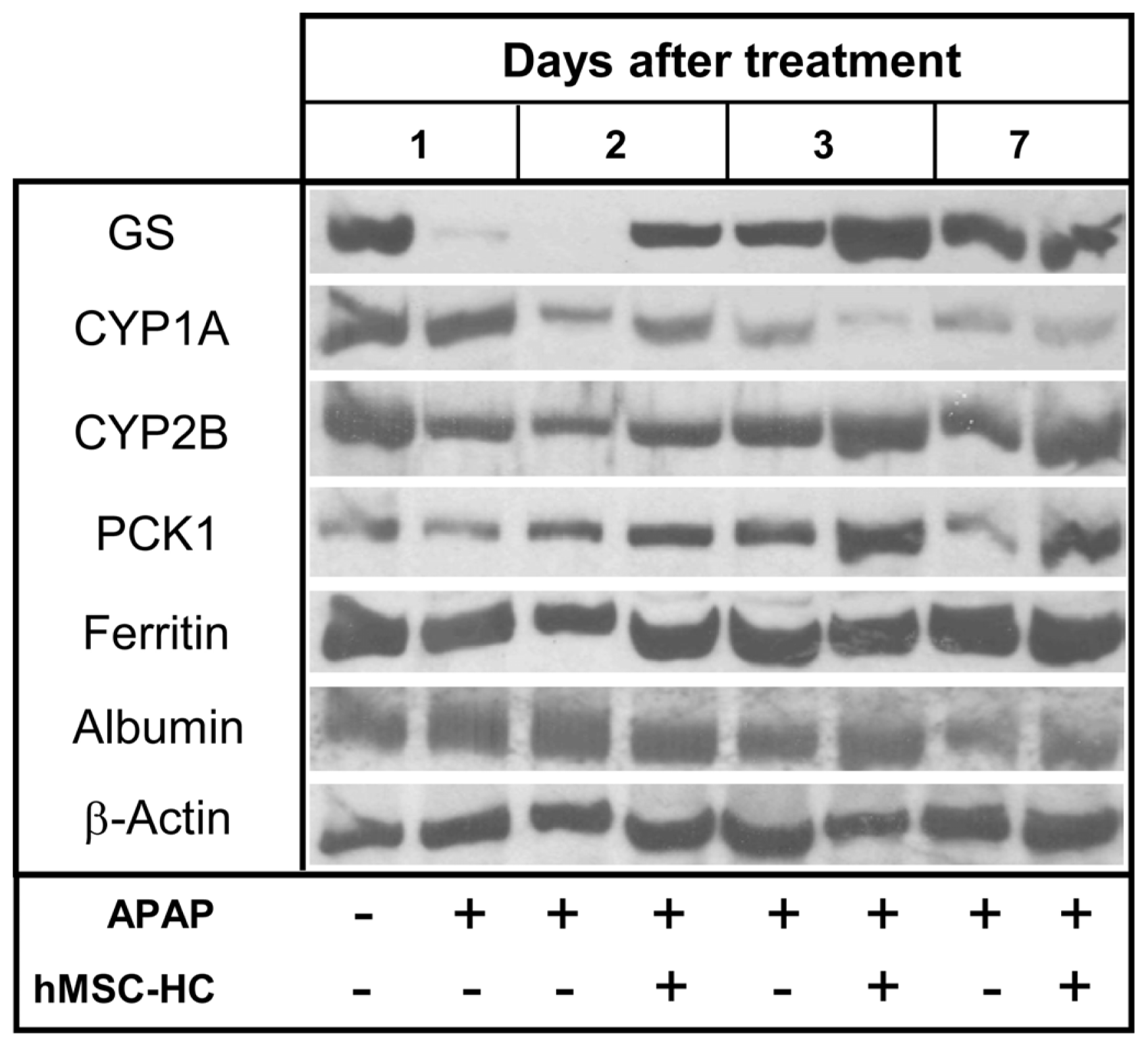 Ijms 15 07004f8 1024