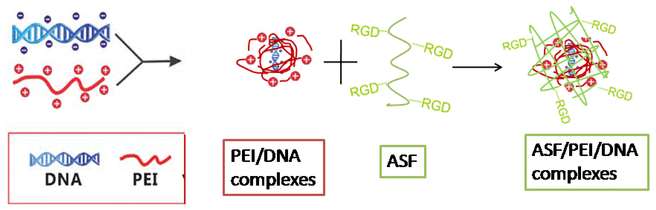 Ijms 15 07049f1 1024