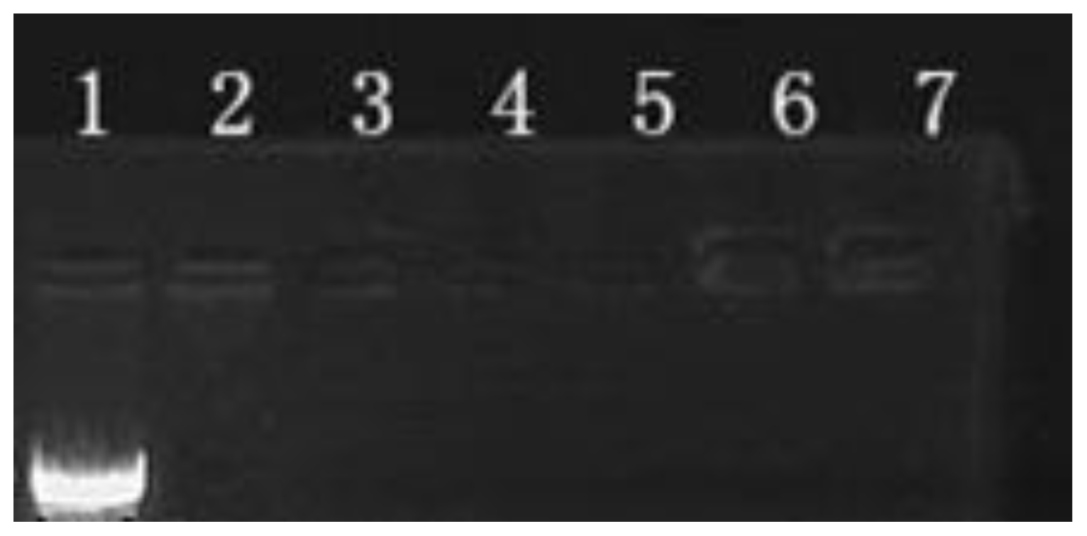 Ijms 15 07049f2 1024