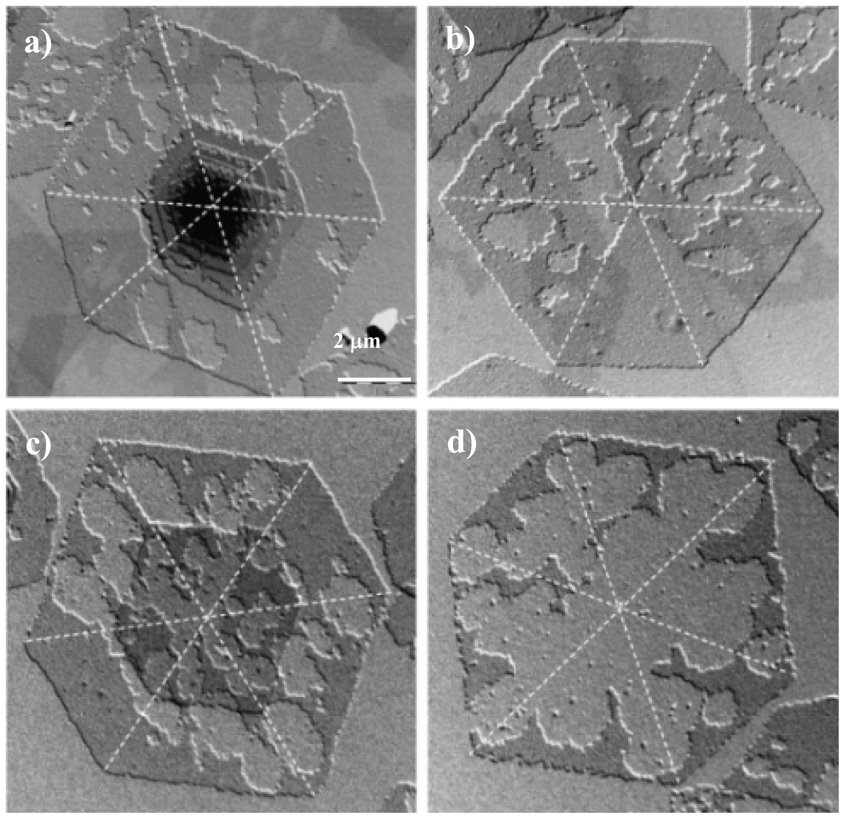 Ijms 15 07064f10 1024