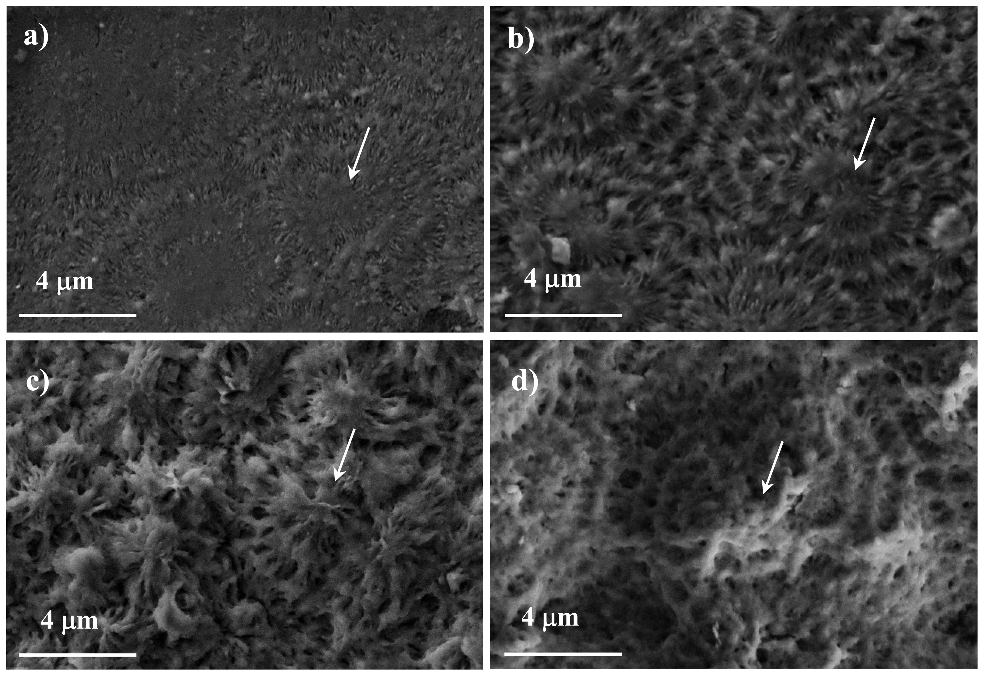 Ijms 15 07064f11 1024