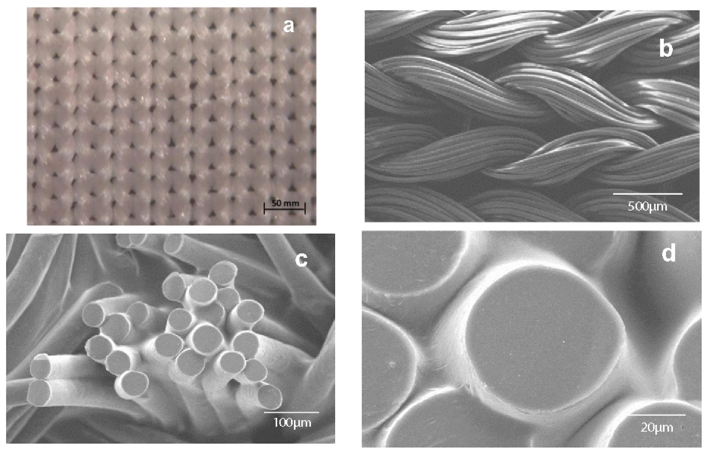 Ijms 15 07064f16 1024