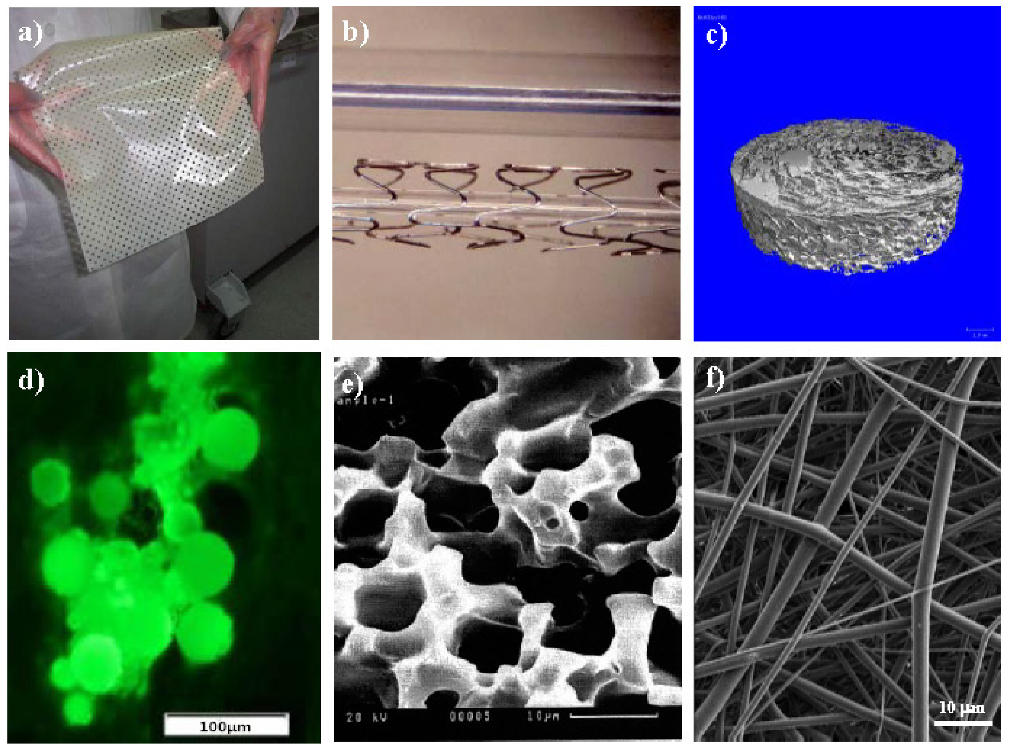 Ijms 15 07064f43 1024