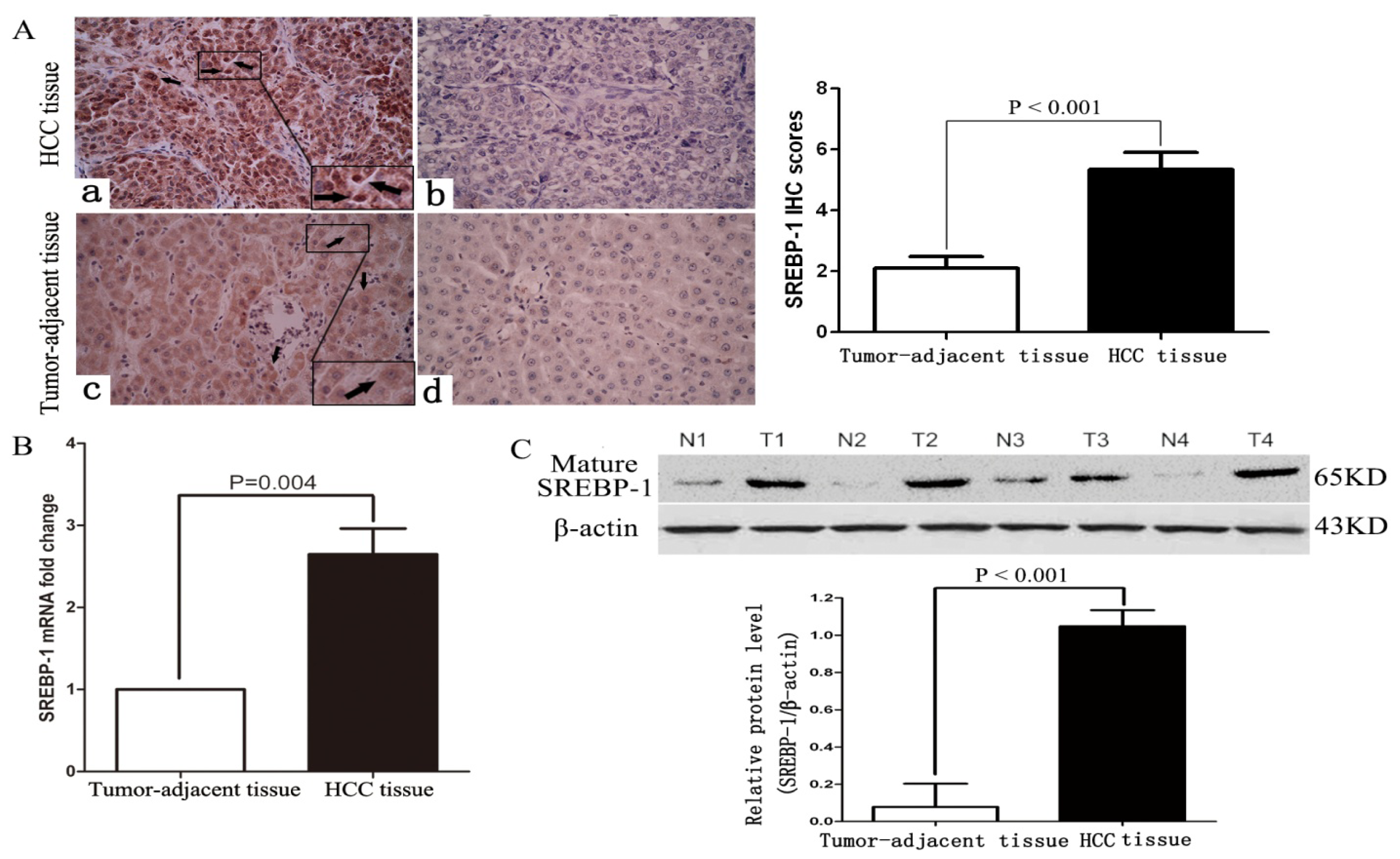 Ijms 15 07124f1 1024