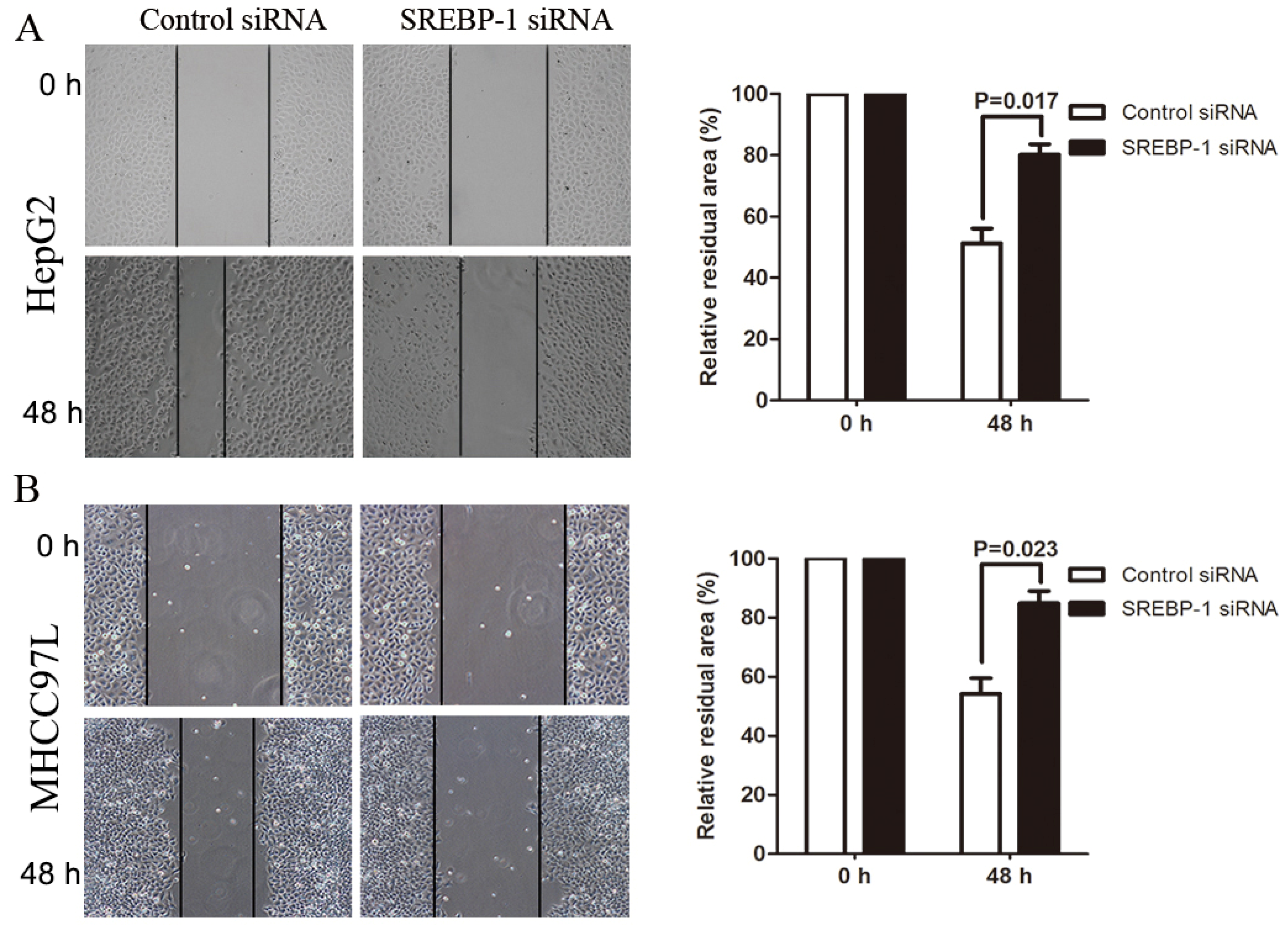 Ijms 15 07124f5 1024