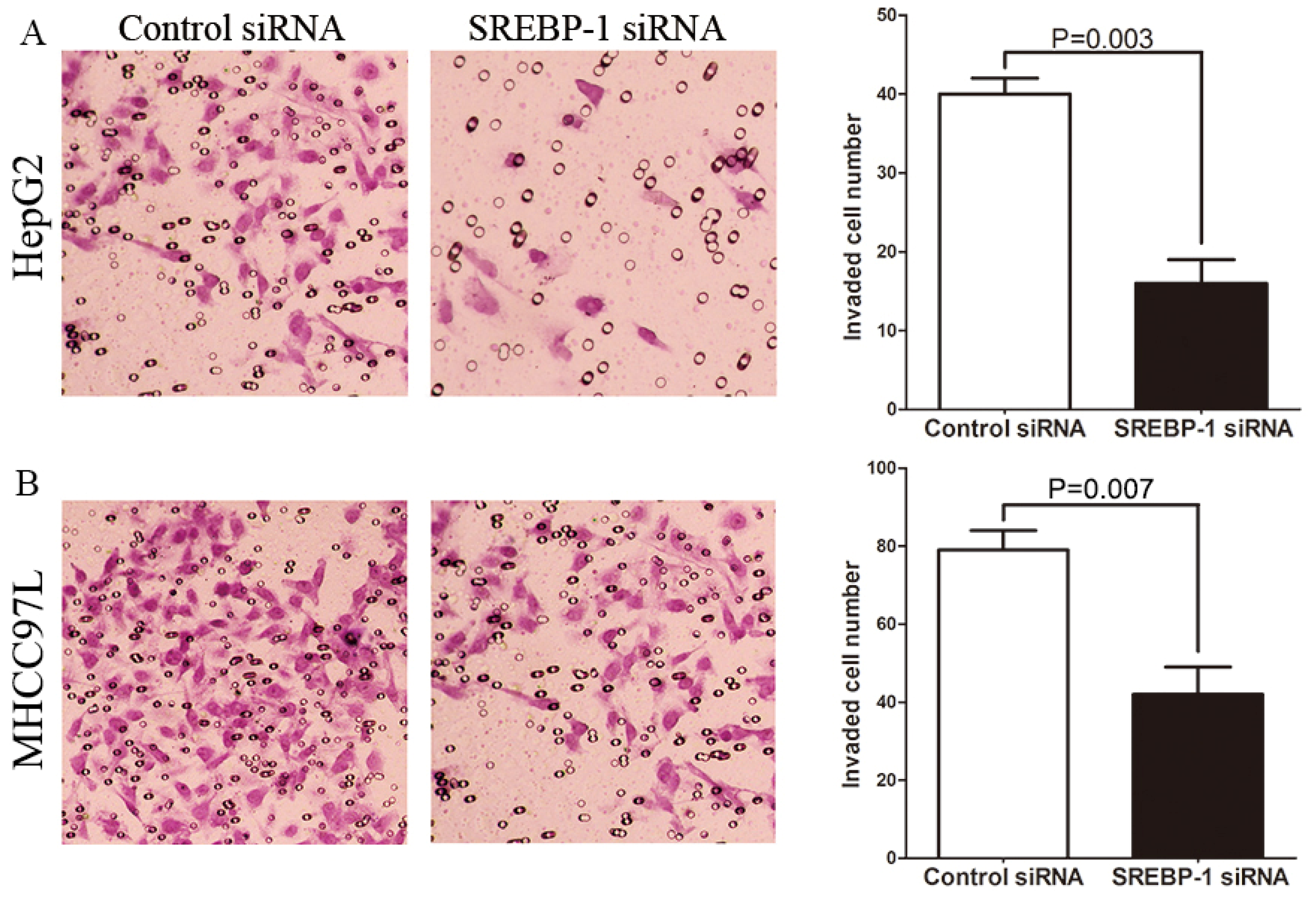 Ijms 15 07124f6 1024